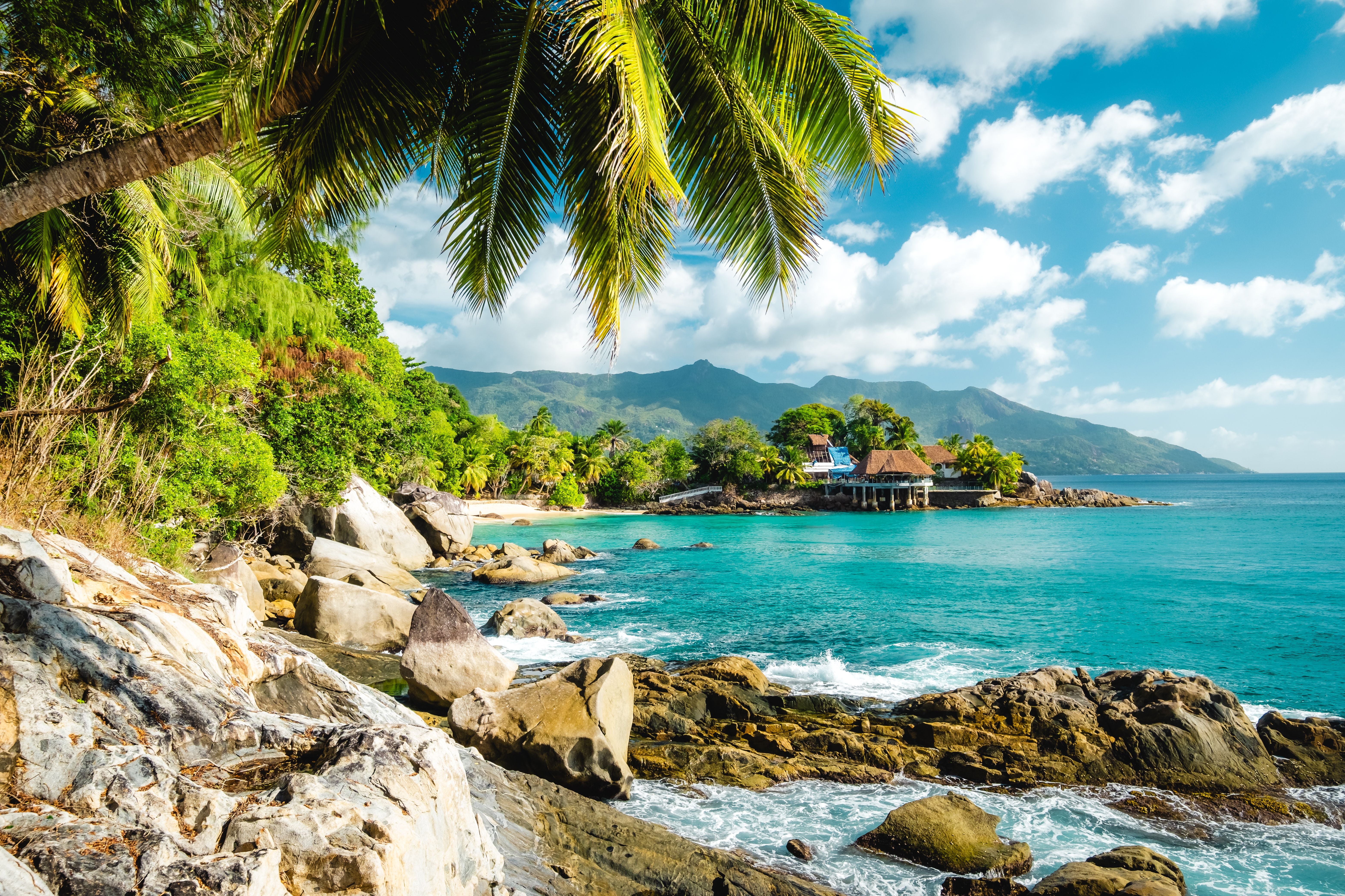 Tropischer Strand auf den Seychellen mit Palmen, Granitfelsen und türkisblauem Meer.