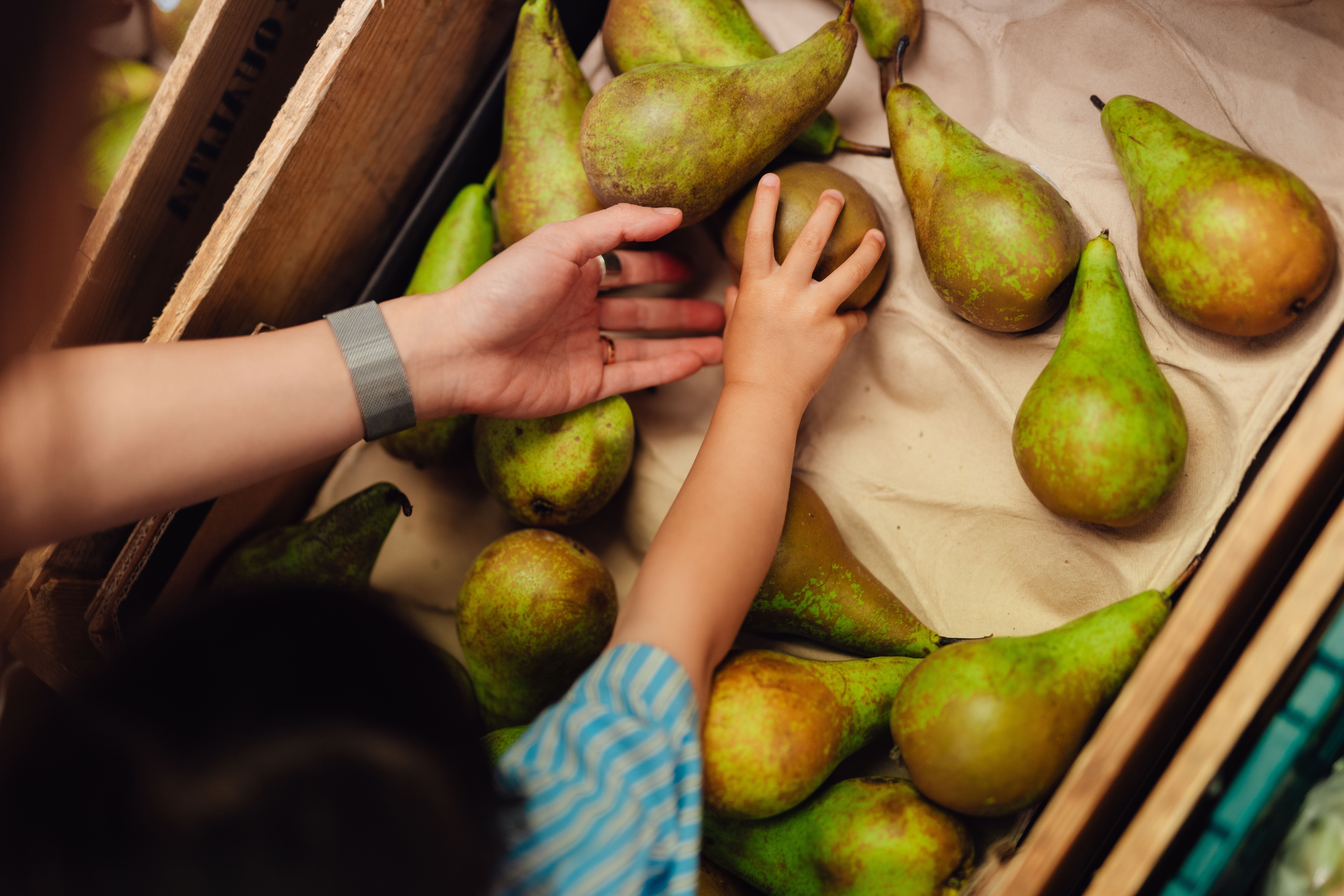 Eine erwachsene und eine Kinderhand greifen gemeinsam nach Birnen im Obstregal.