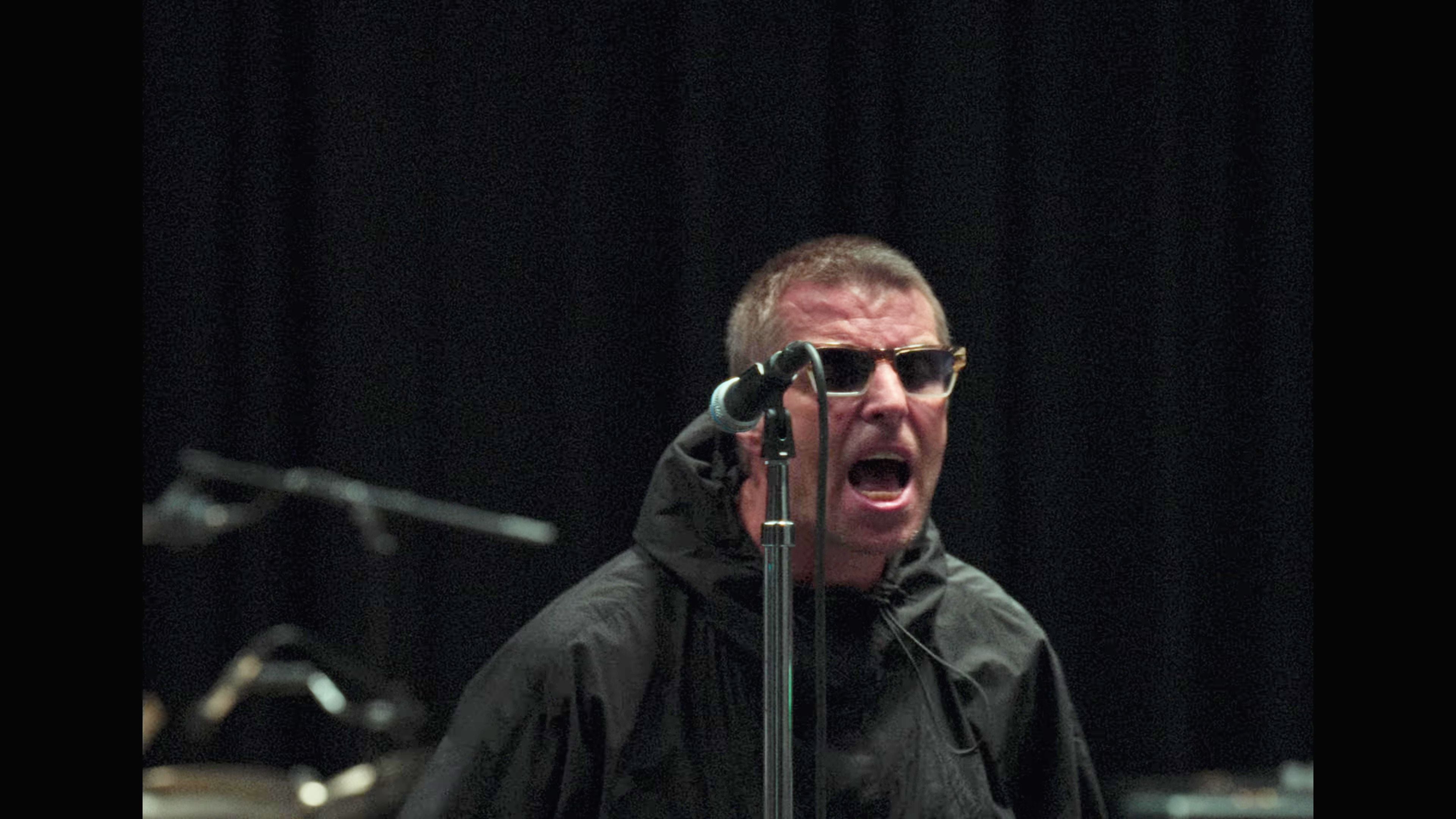 Mann mit Sonnenbrille singt leidenschaftlich in ein Mikrofon auf einer Bühne.