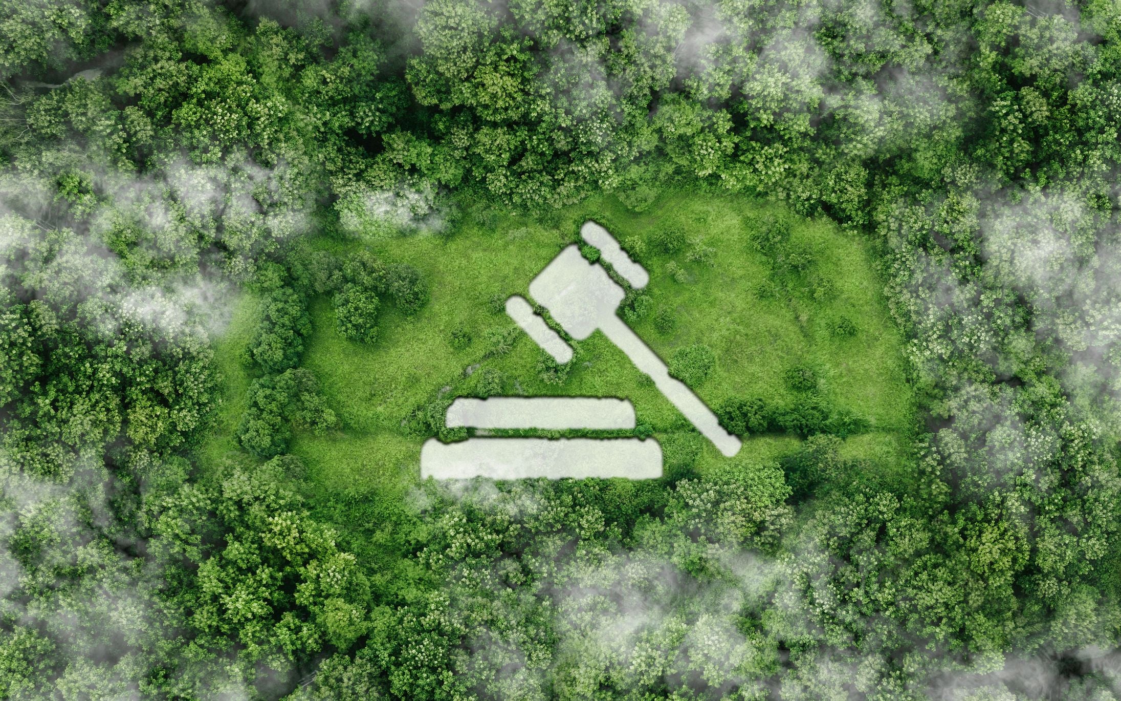 Richterhammer-Icon als Freifläche inmitten eines dichten, nebeligen Waldes von oben gesehen.