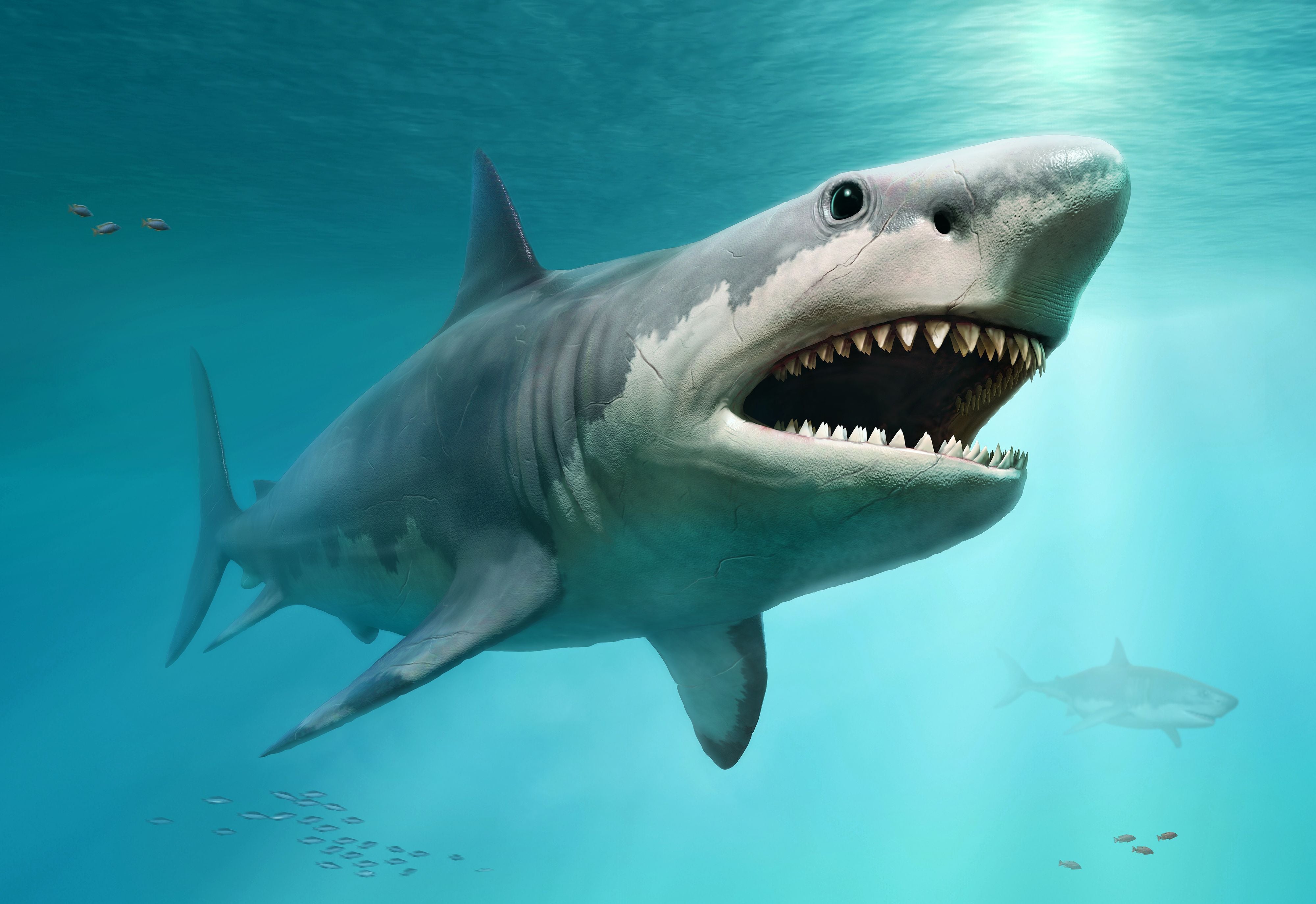 3D-Illustration eines riesigen Megalodon-Hais mit geöffnetem Maul im Ozean.