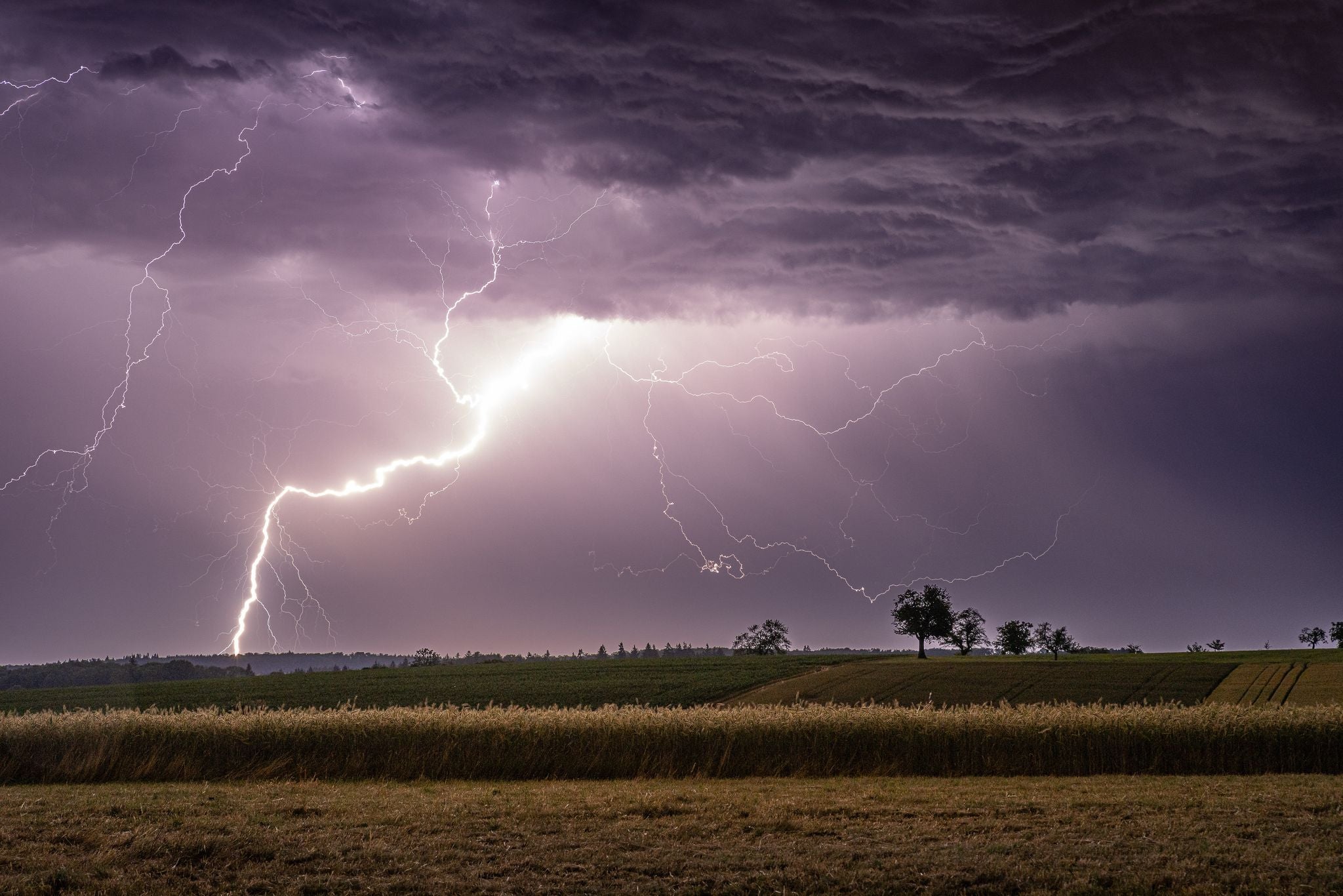 Ein greller Blitz erleuchtet nachts den Himmel über einem Feld bei einem Sommergewitter.