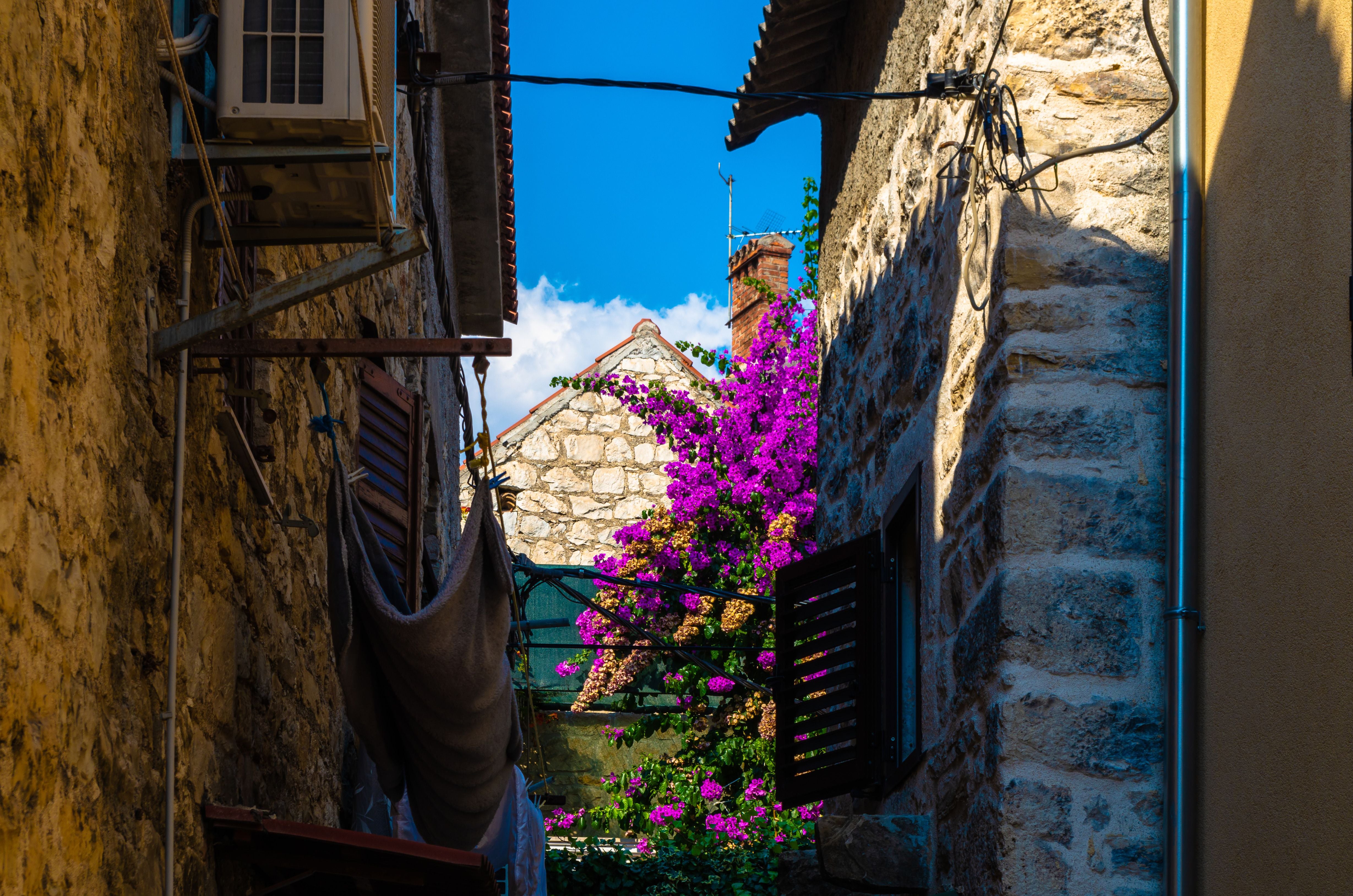 Enge Gasse mit Steinmauern, lila blühender Strauch und blauem Himmel in Kaštel Sucurac, Kroatien.