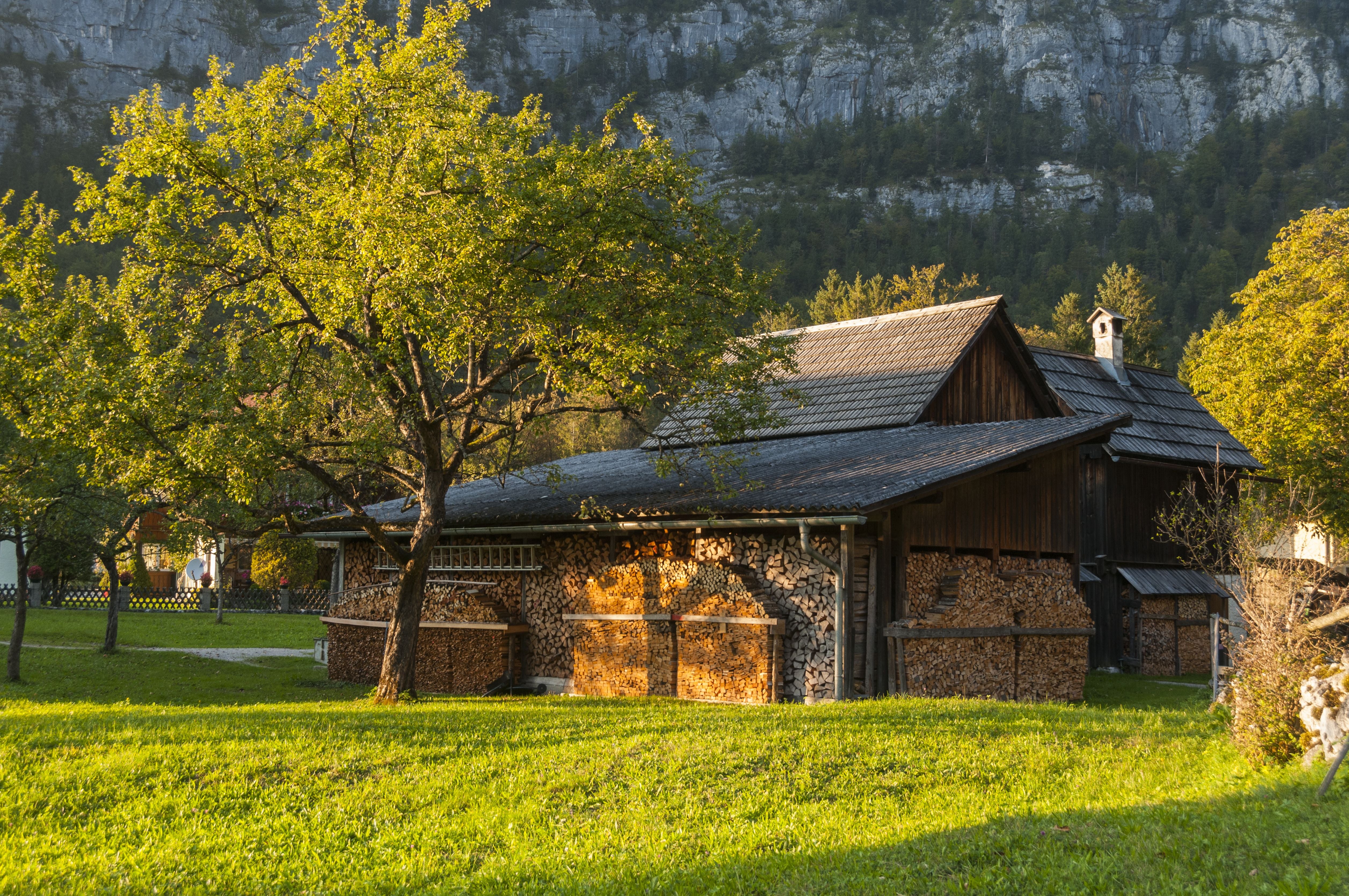 Scheune mit gestapeltem Brennholz im Grünen, umgeben von Bäumen und Bergen in Obertraun, Österreich.