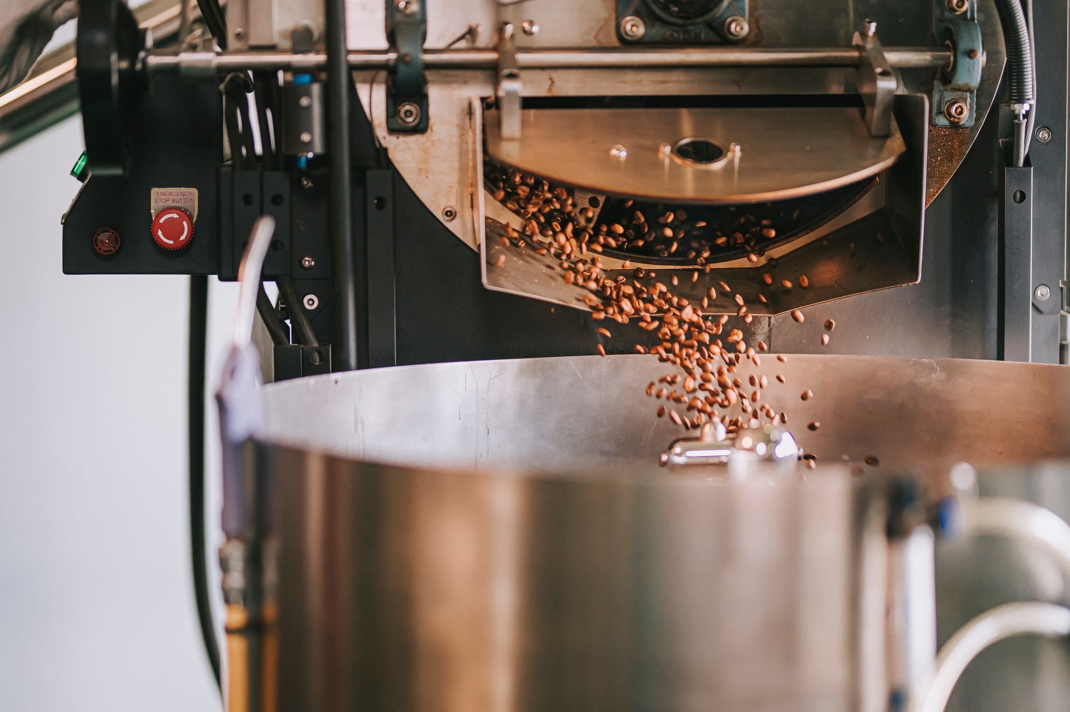 Frisch geröstete Kaffeebohnen fallen aus einer Röstmaschine in einen Kühltopf.