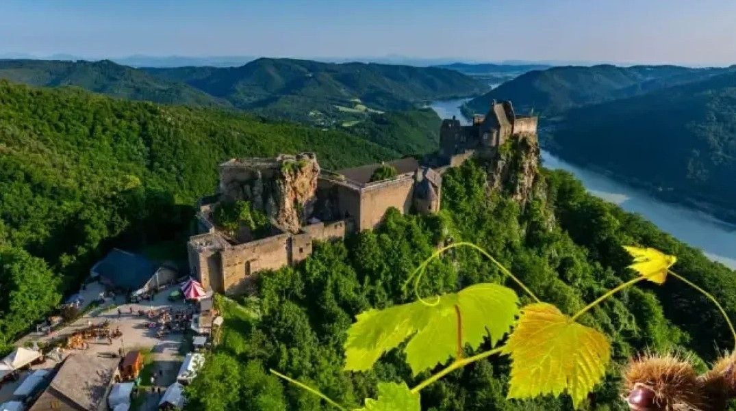 Burgruine Aggstein mit umliegenden Marktständen inmitten grüner Hügel und Donautal im Hintergrund.