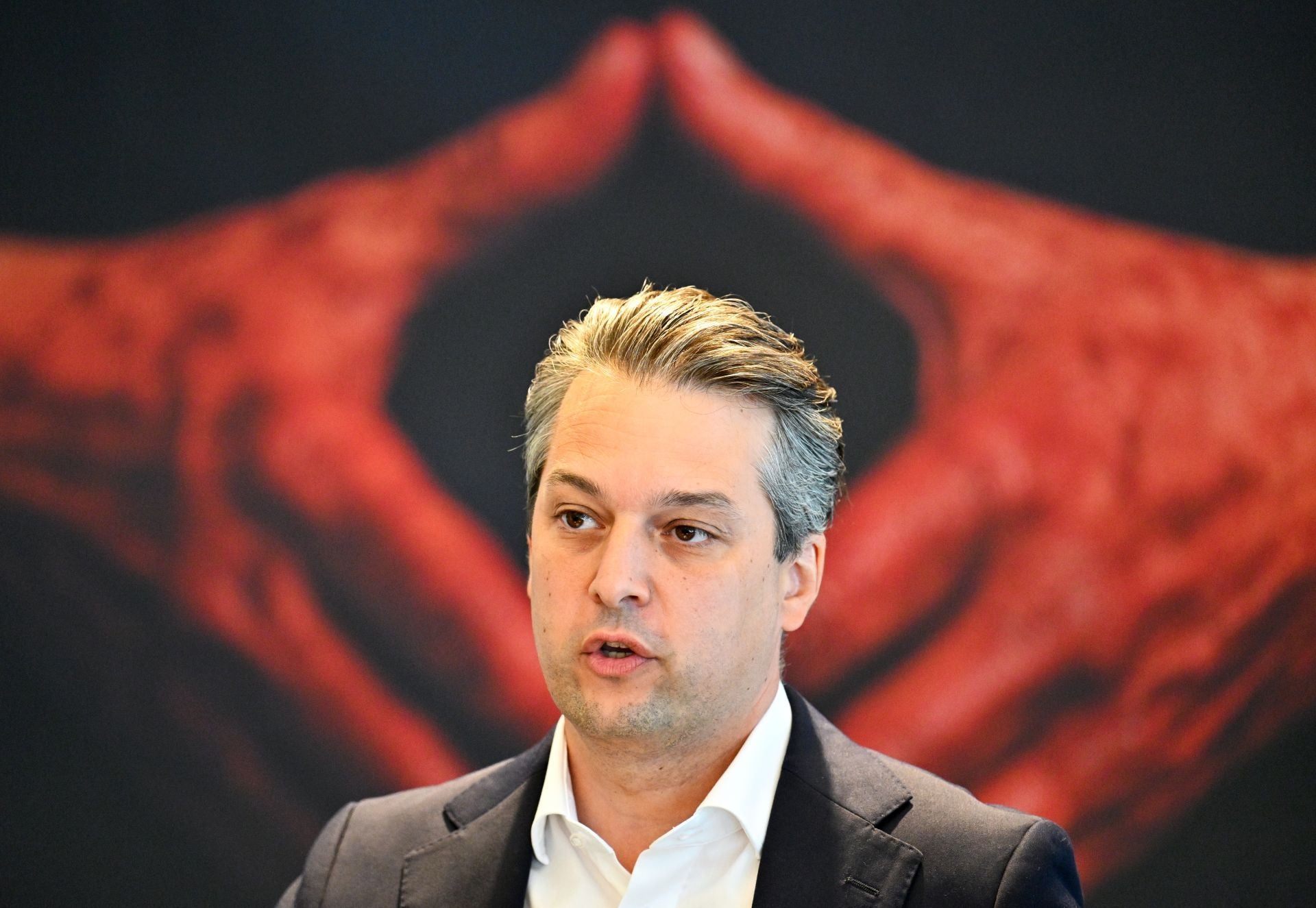 Ein Mann im Anzug spricht, hinter ihm ein Bild von roten Händen in Rautenform.