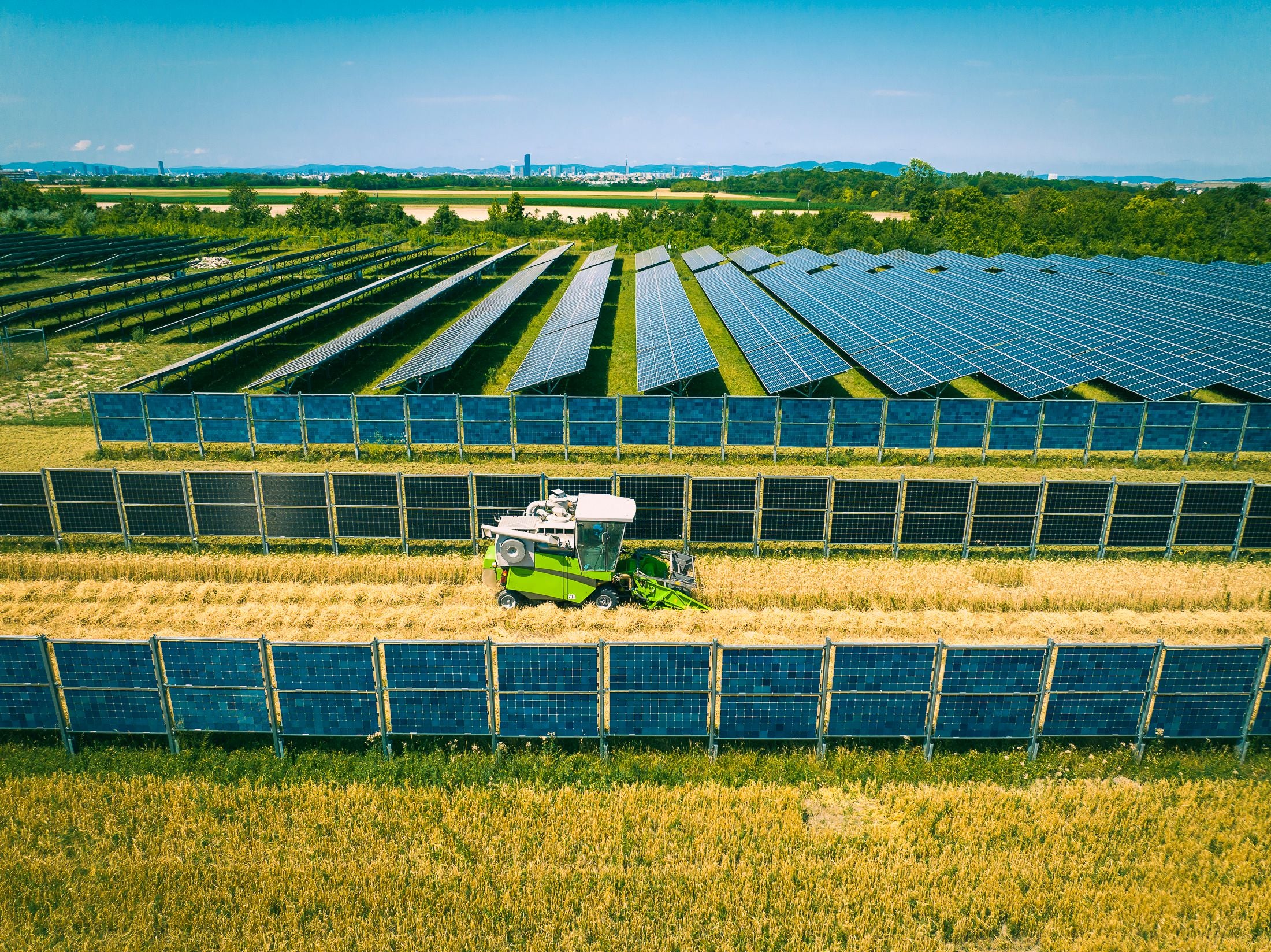 Mähdrescher fährt zwischen bewachsenen Feldern und großen Reihen von Solarpanels bei sonnigem Wetter.