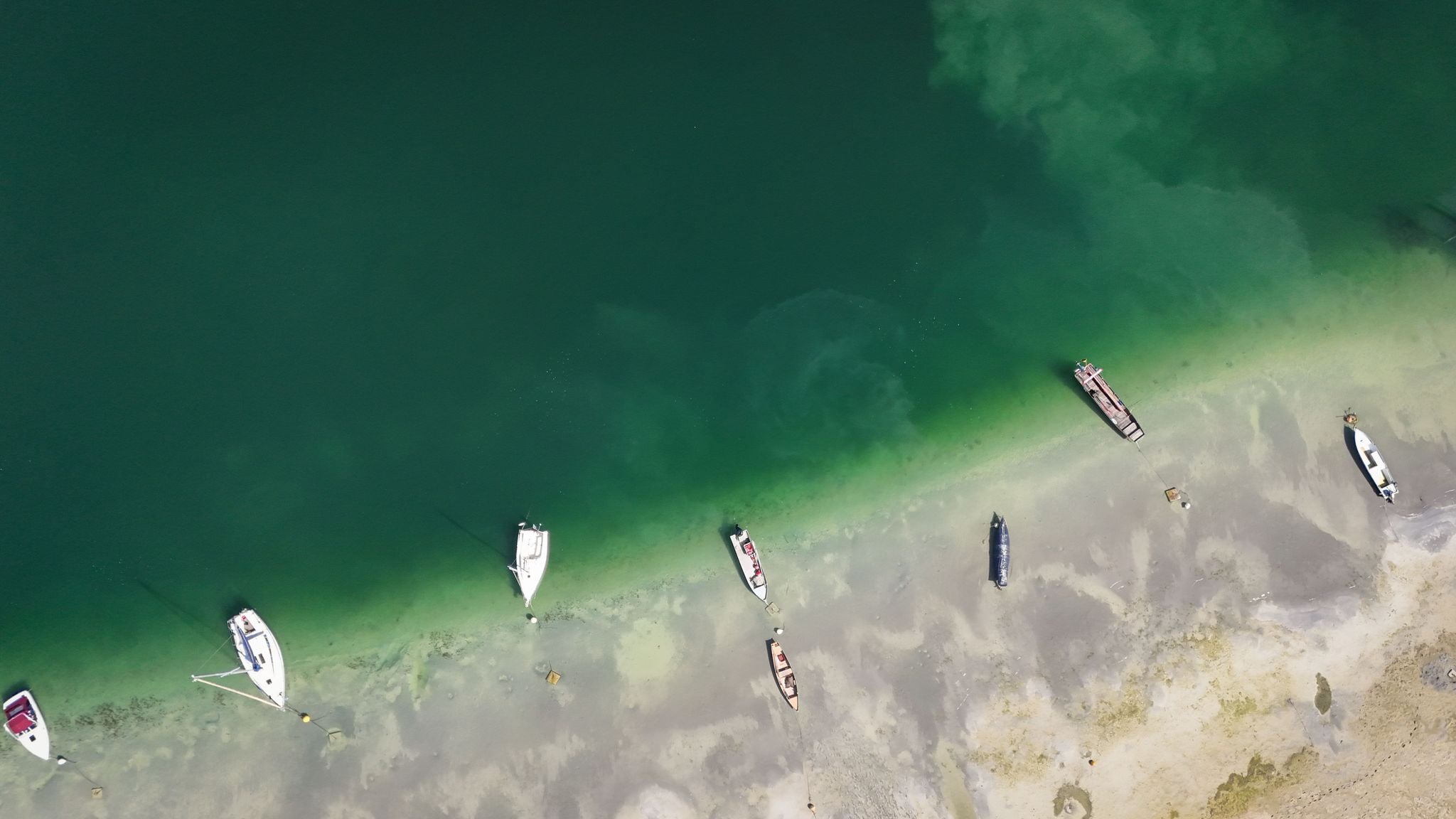 Mehrere Boote liegen bei niedrigem Wasserstand teils auf dem Trockenen am Ufer des Bodensees.