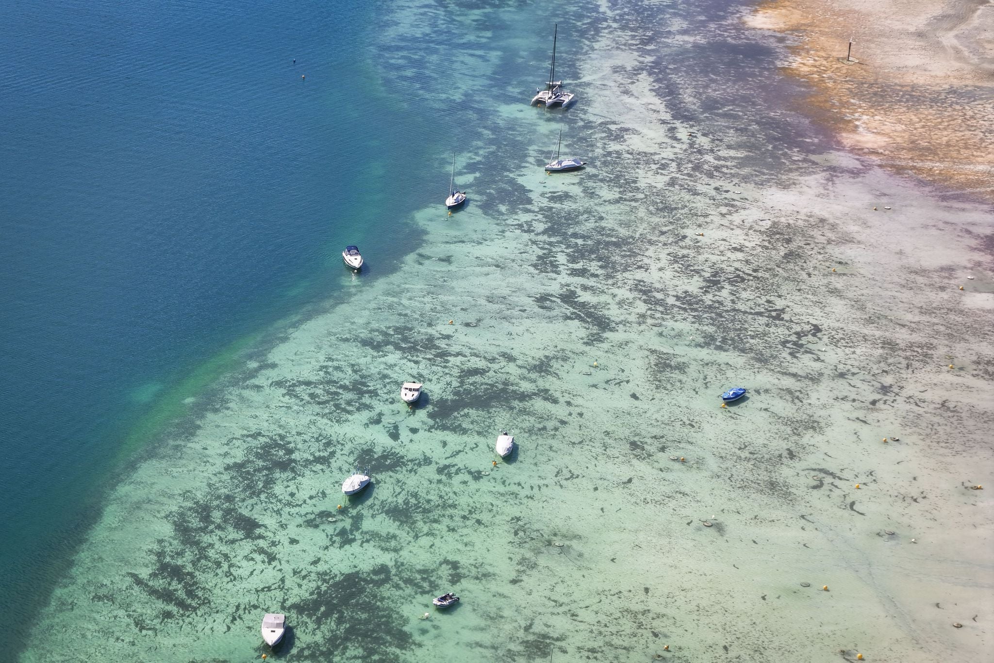 Mehrere Boote liegen bei niedrigem Wasserstand am Bodensee teils auf dem Trockenen.