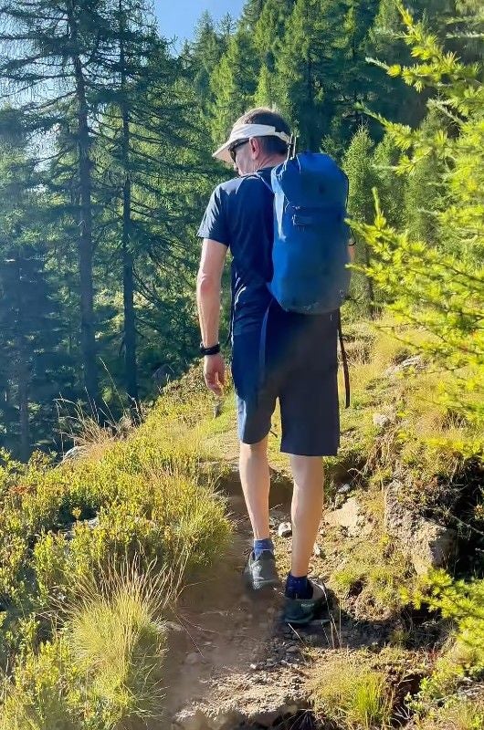 Eine Person wandert mit Rucksack auf einem sonnigen Waldpfad durch die Berge.