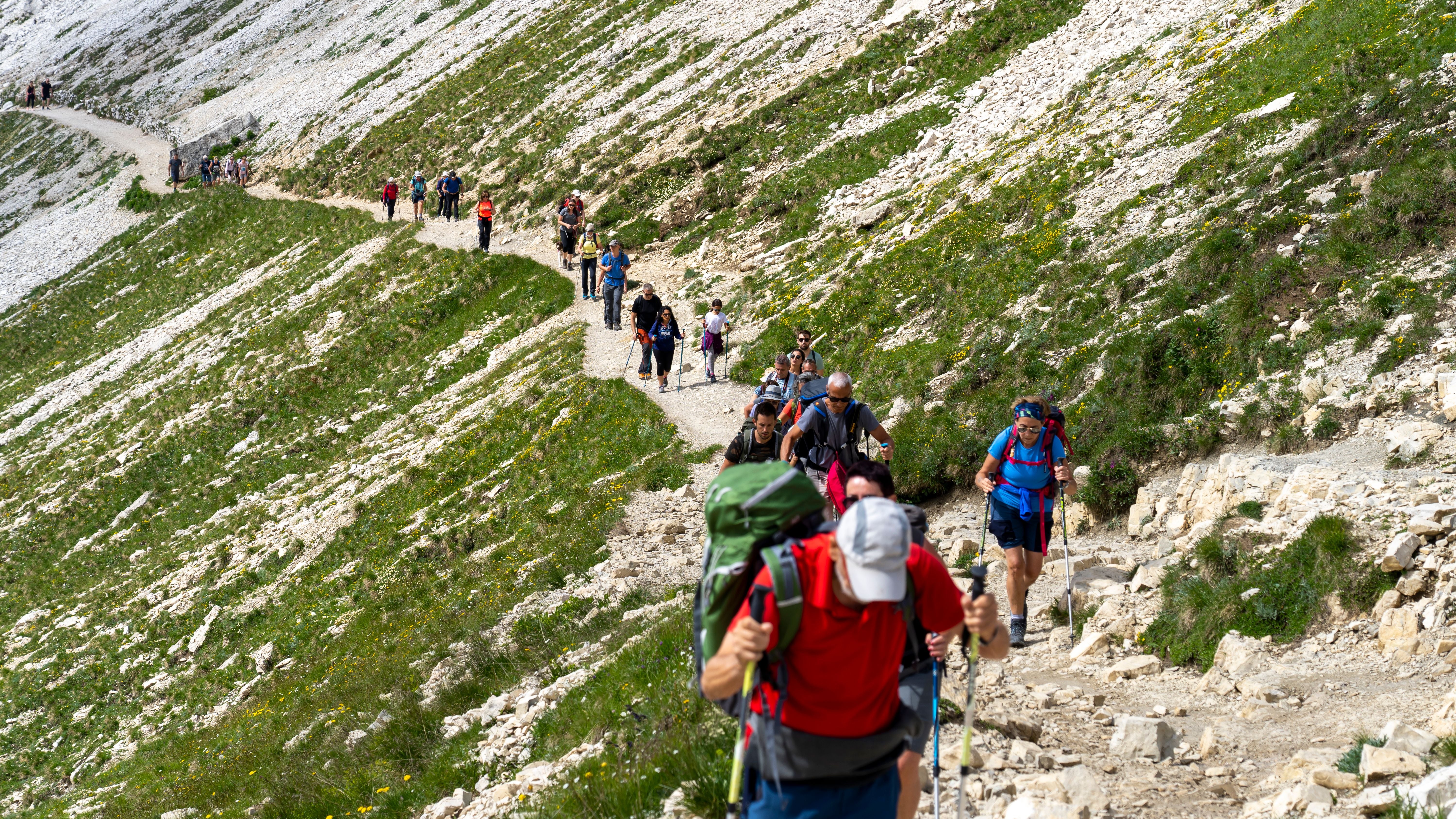 Viele Wanderer gehen auf einem schmalen Bergpfad in den Dolomiten, Italien, bergauf.