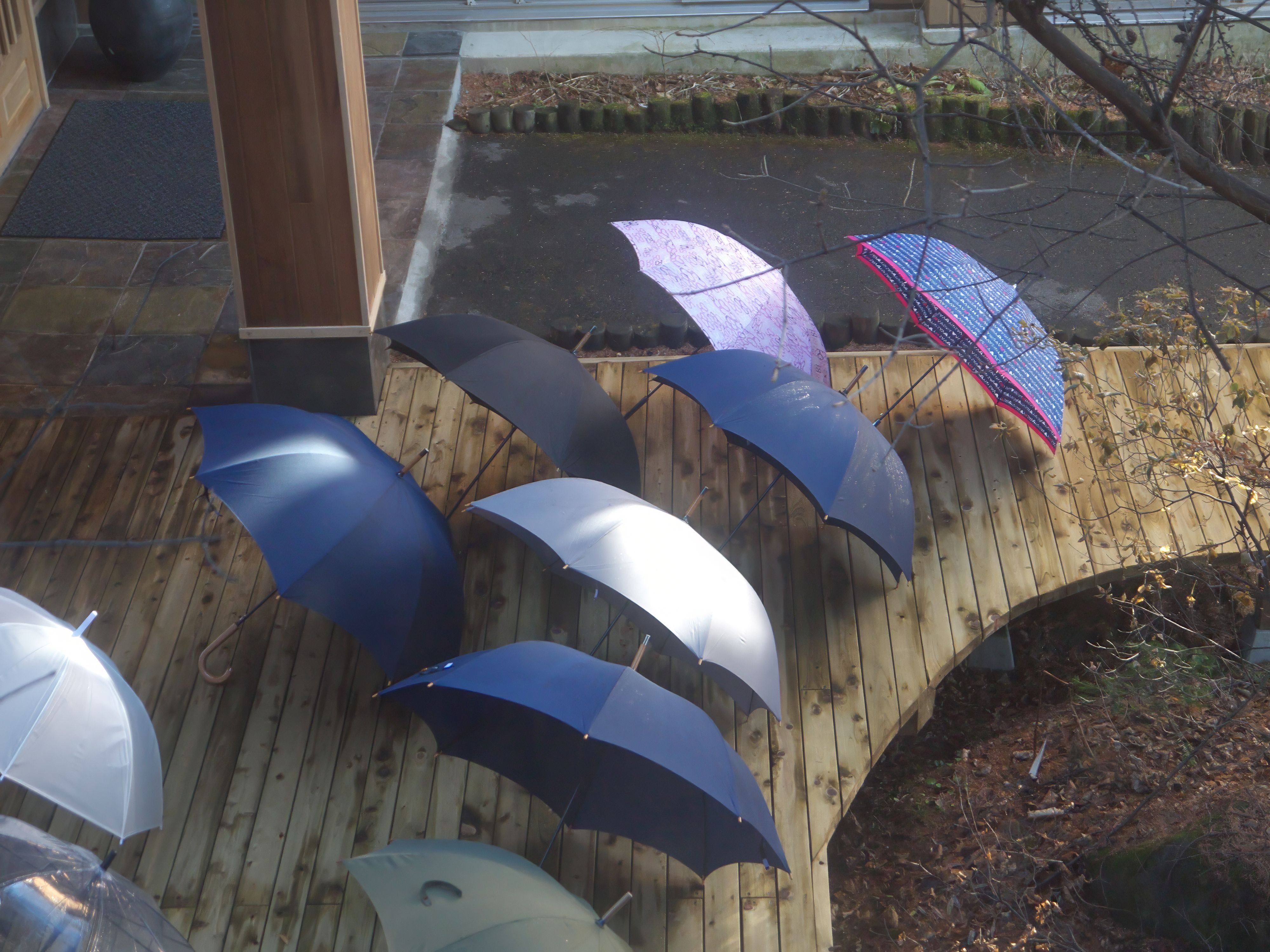 Mehrere geöffnete Regenschirme trocknen auf einer Holzterrasse nach dem Regen.