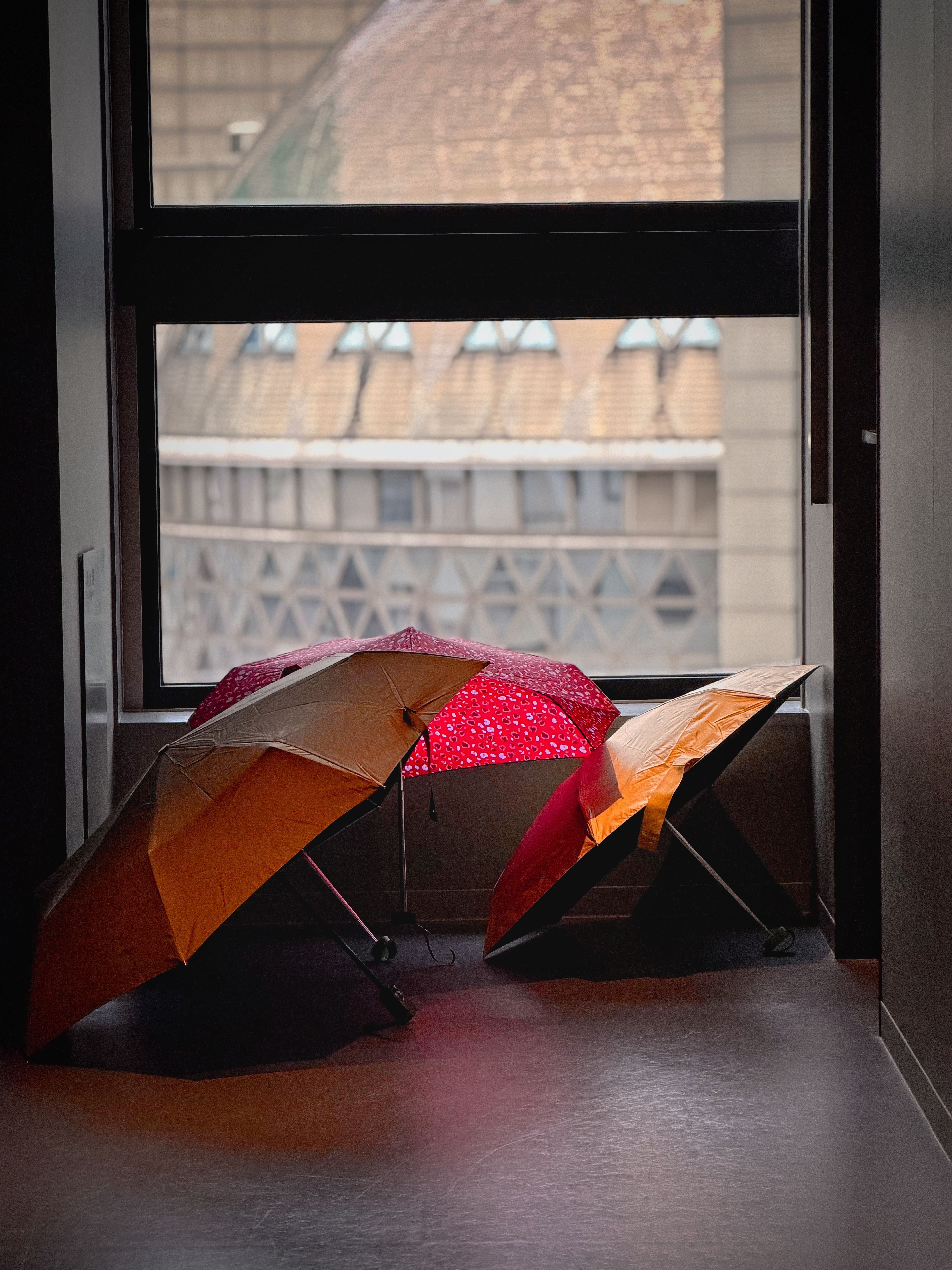 Drei Regenschirme trocknen bei weichem Licht vor einem Fenster mit Stadtblick.