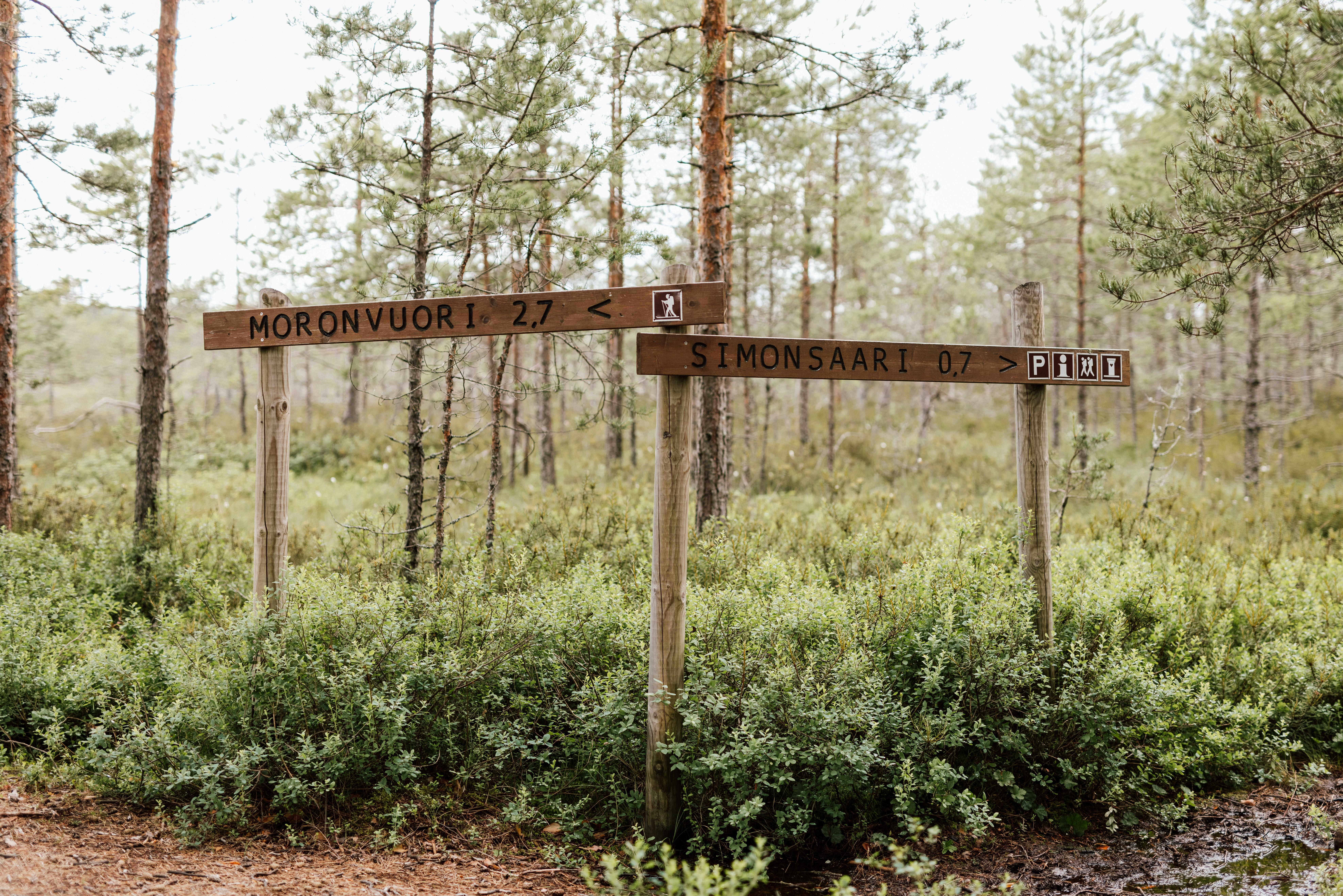 Holzwegweiser im Wald mit den Zielen Moronvuori und Simonsaari in verschiedene Richtungen.