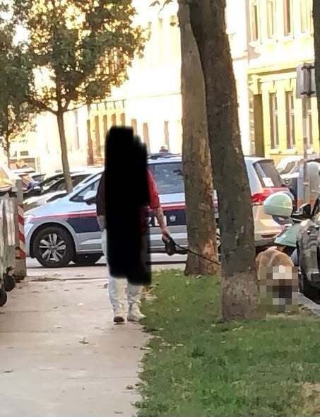 Eine Person führt einen Hund an der Leine auf einem Gehweg entlang, Bäume und geparkte Autos sind zu sehen.