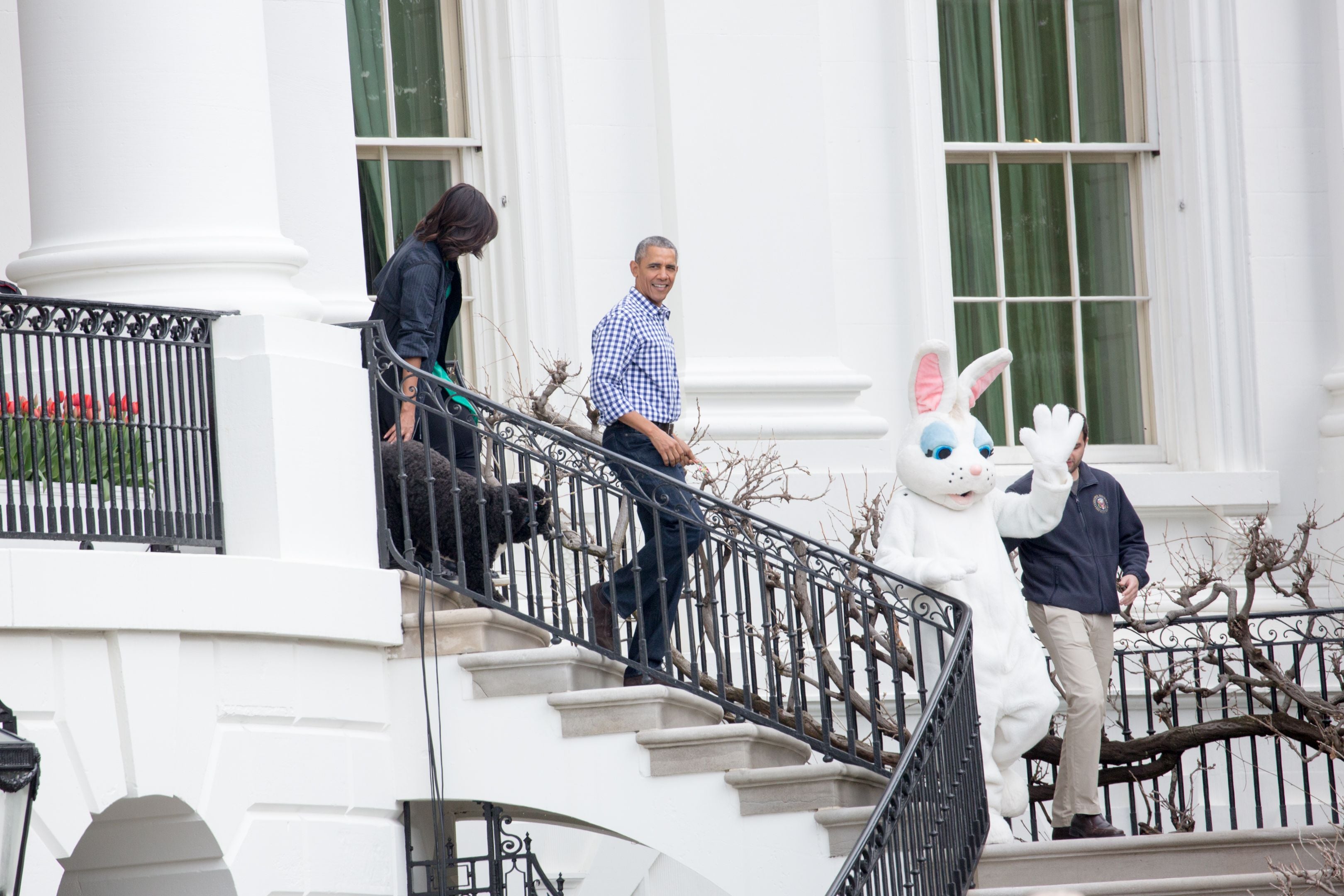 Ex-Präsident Barack Obama mit seiner Frau Michelle und dem "First Dog" Sunny.