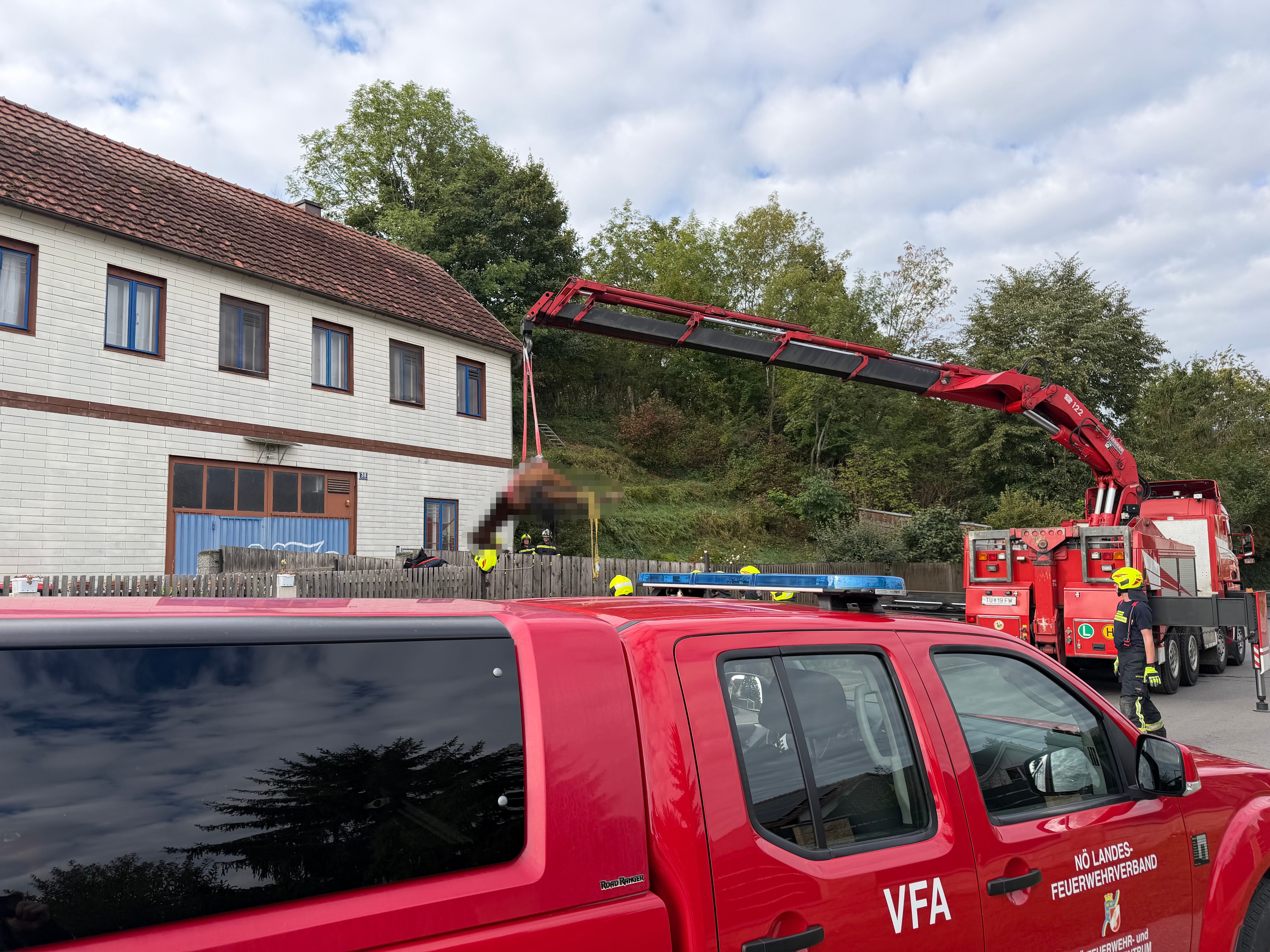 Feuerwehrkräfte bergen mit Kran ein totes Pferd von einem Balkon neben einem Wohnhaus.