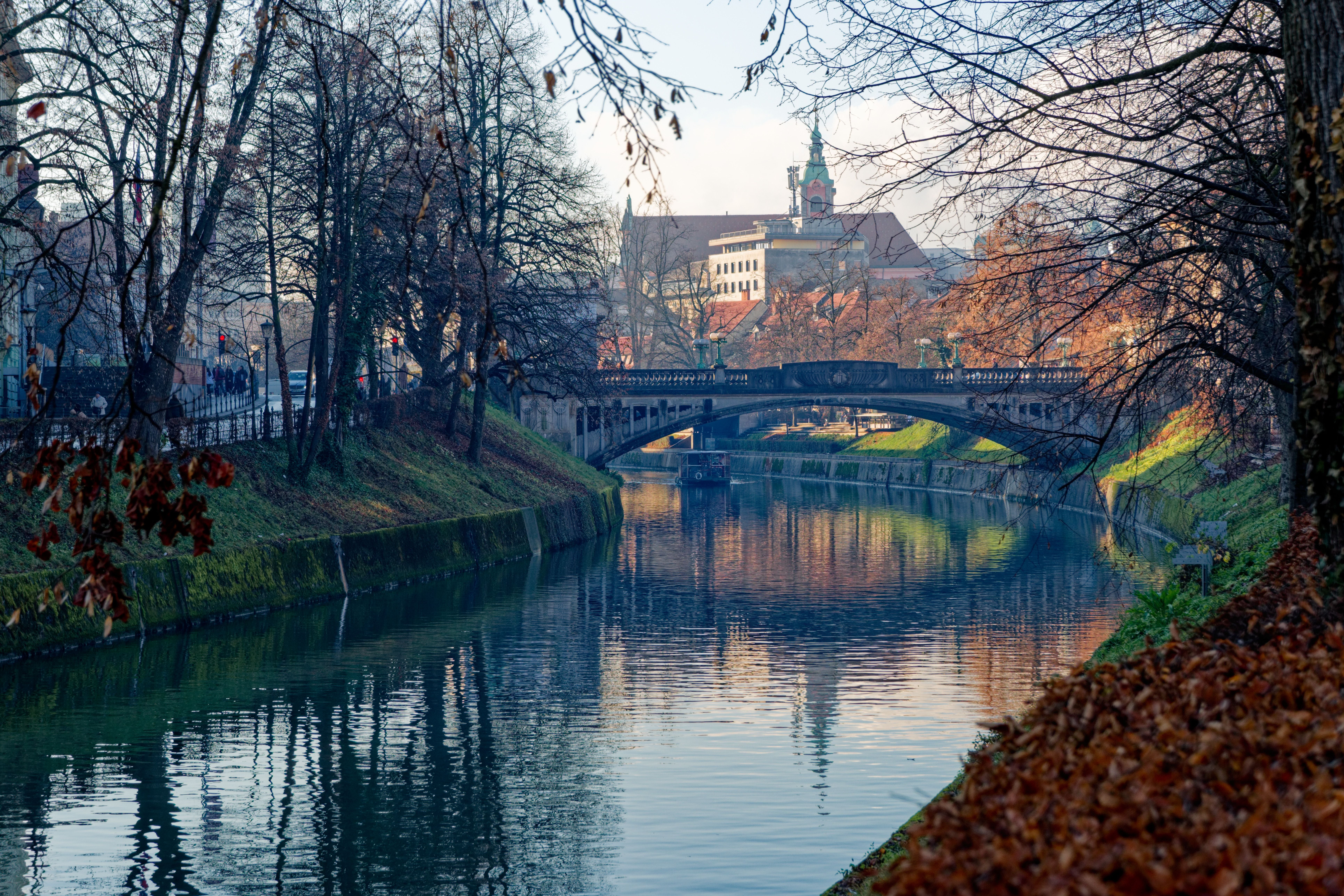 Fluss mit Brücke in Ljubljana im Herbst, kahle Bäume und Spiegelung im Wasser.