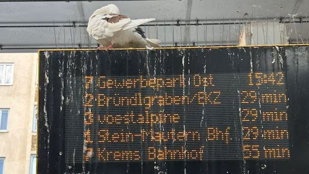 Der verschmutzte Kremser Bahnhof sorgt für Unmut bei der Bevölkerung.