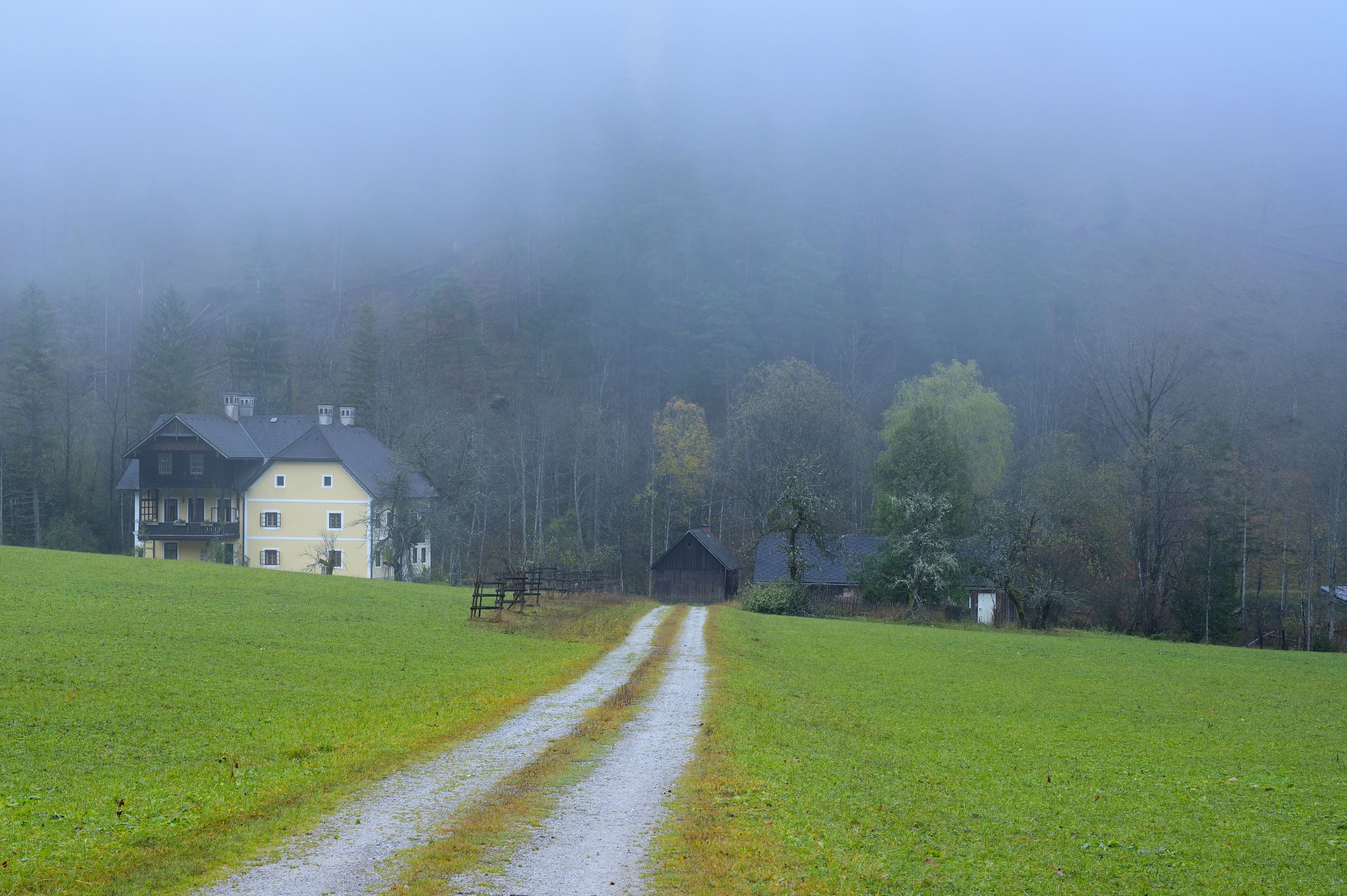 Ein Landhaus und Scheunen im nebligen Gesäuse-Nationalpark auf einer grünen Wiese mit Feldweg.