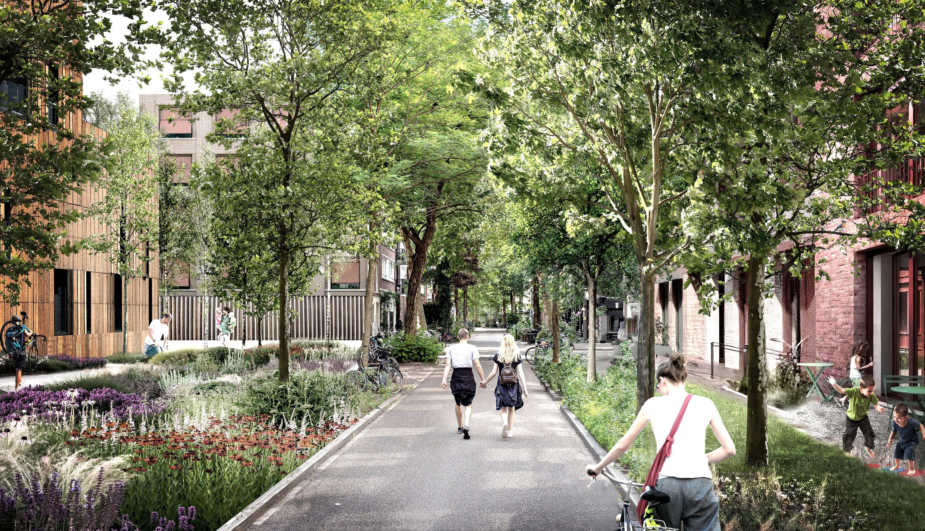 Grüne Wohnstraße mit Gehweg, vielen Bäumen, Blumenbeeten und Menschen zu Fuß und mit Fahrrad.