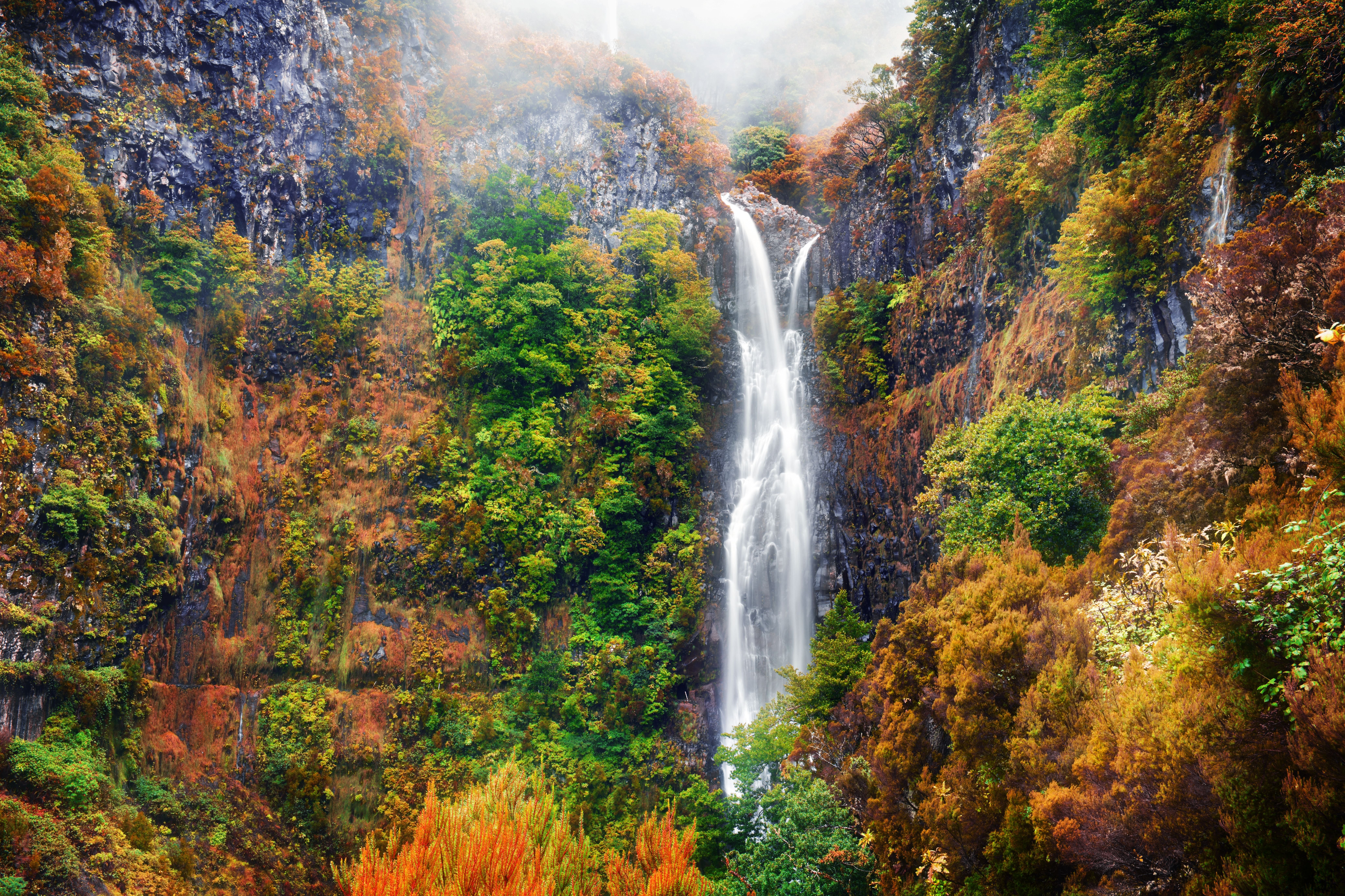 Hoher Wasserfall im dichten, herbstlich gefärbten Wald auf Madeira.
