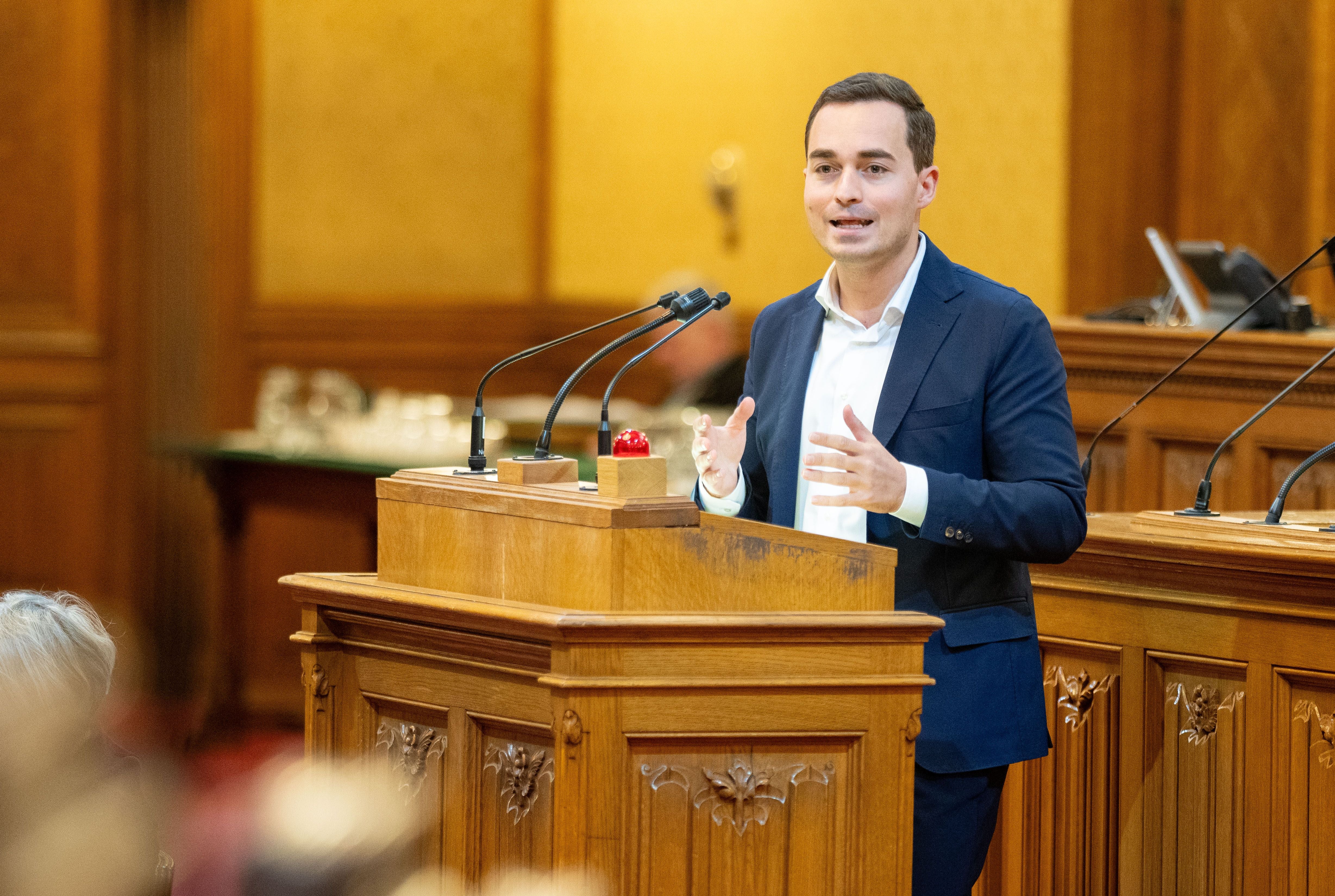 Ein Mann im Anzug spricht an einem Rednerpult im Wiener Gemeinderatssaal.