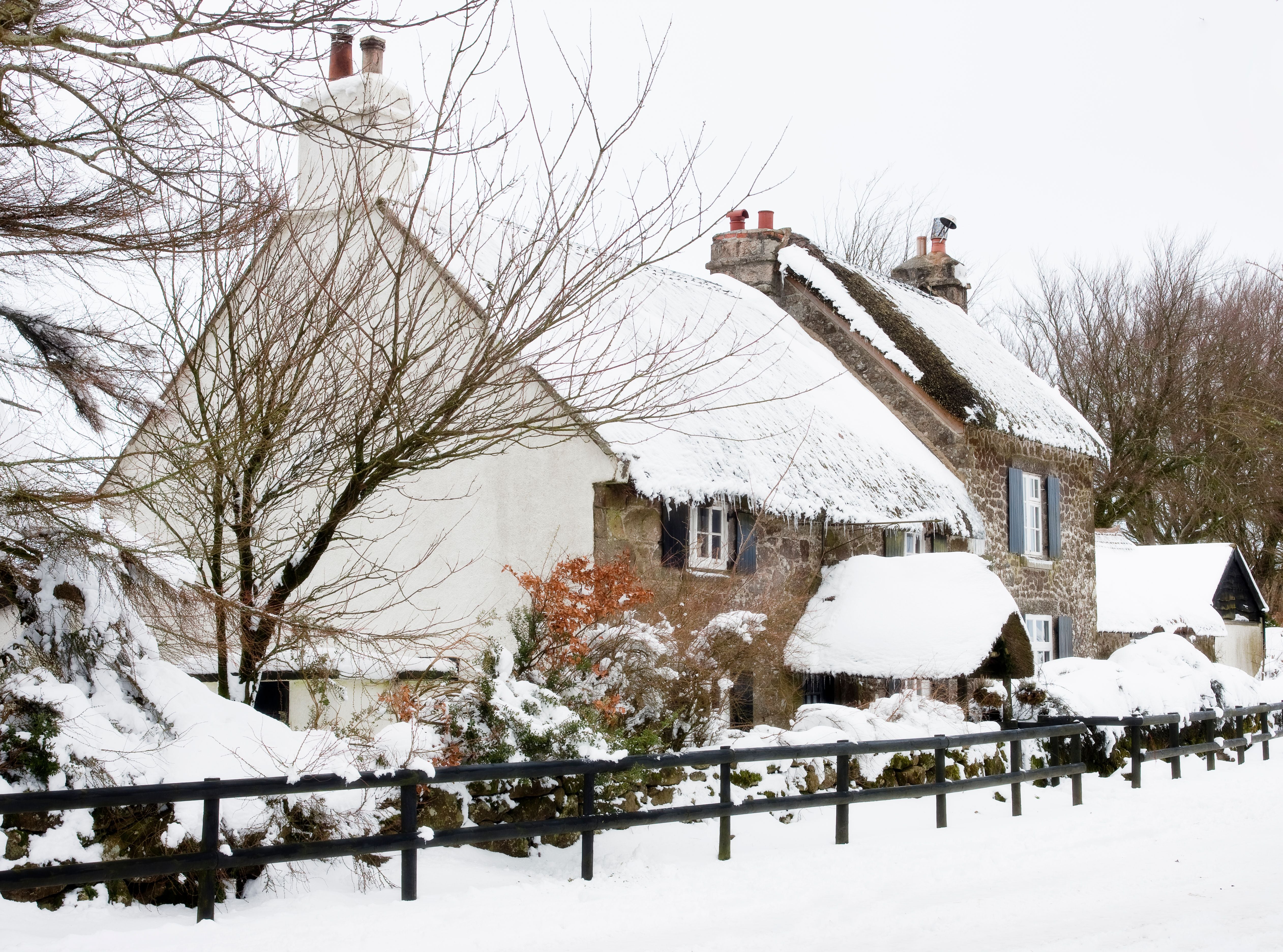 Reetgedeckte Häuser und Bäume sind im Schnee bedeckt, eine winterliche Landschaft.