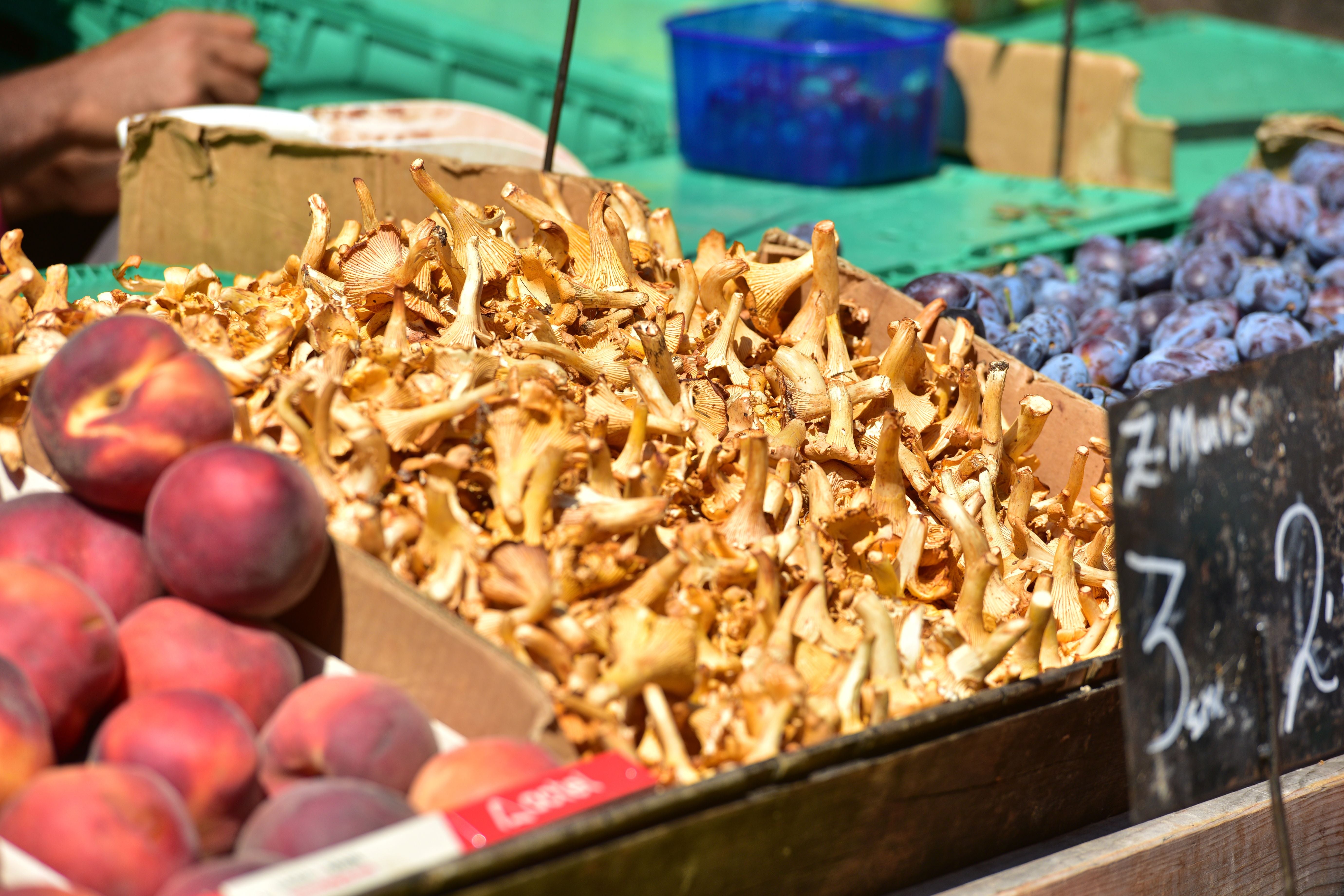 Pfifferlinge, Pfirsiche und Zwetschgen auf einem Marktstand am Viktor-Adler-Markt in Wien.