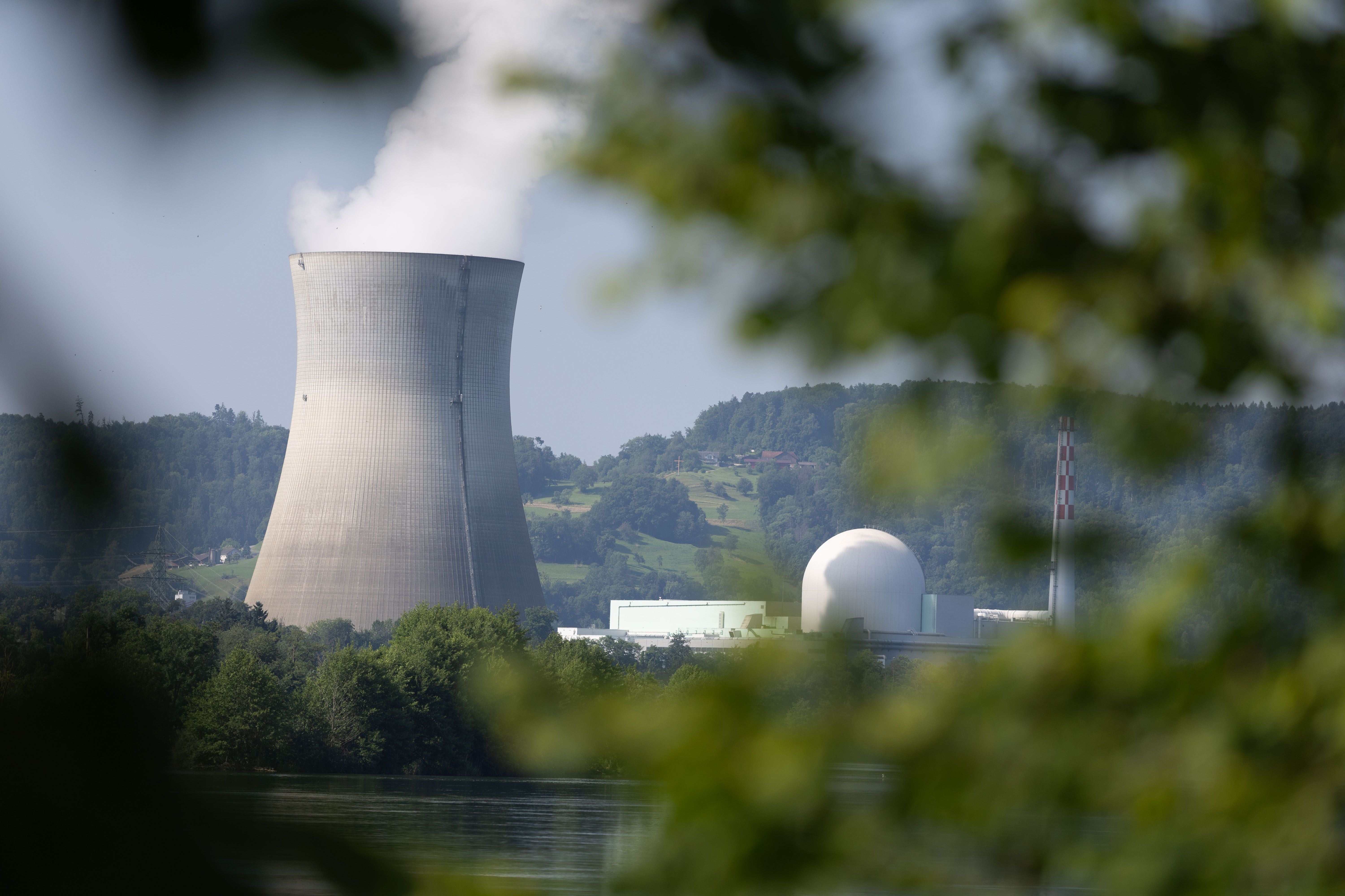 Kernkraftwerk Leibstadt mit dampfendem Kühlturm hinter Bäumen und Wasser in der Schweiz.