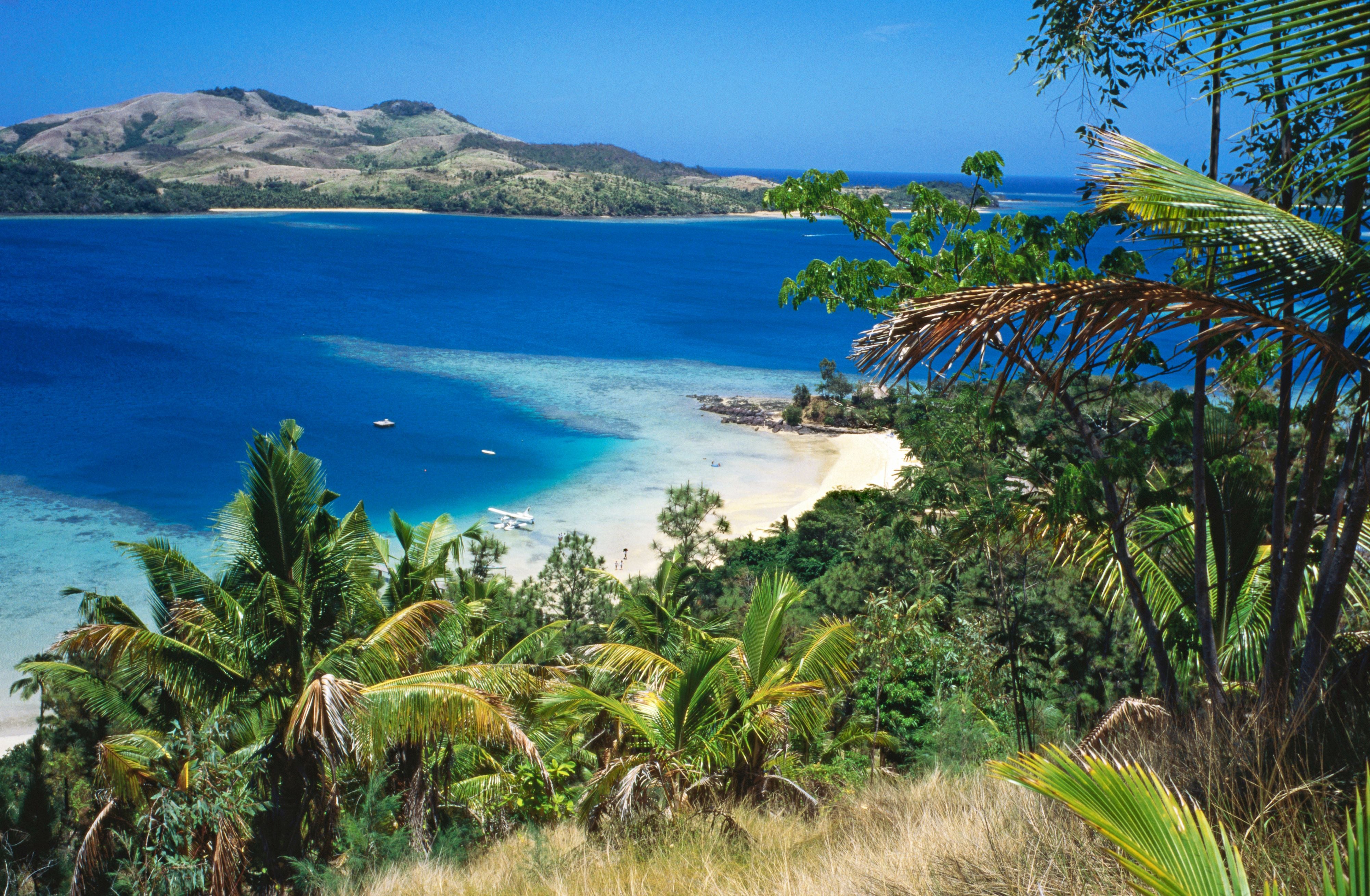 Blick auf den tropischen Strand und das blaue Meer von Turtle Island, Fiji, mit Palmen im Vordergrund.