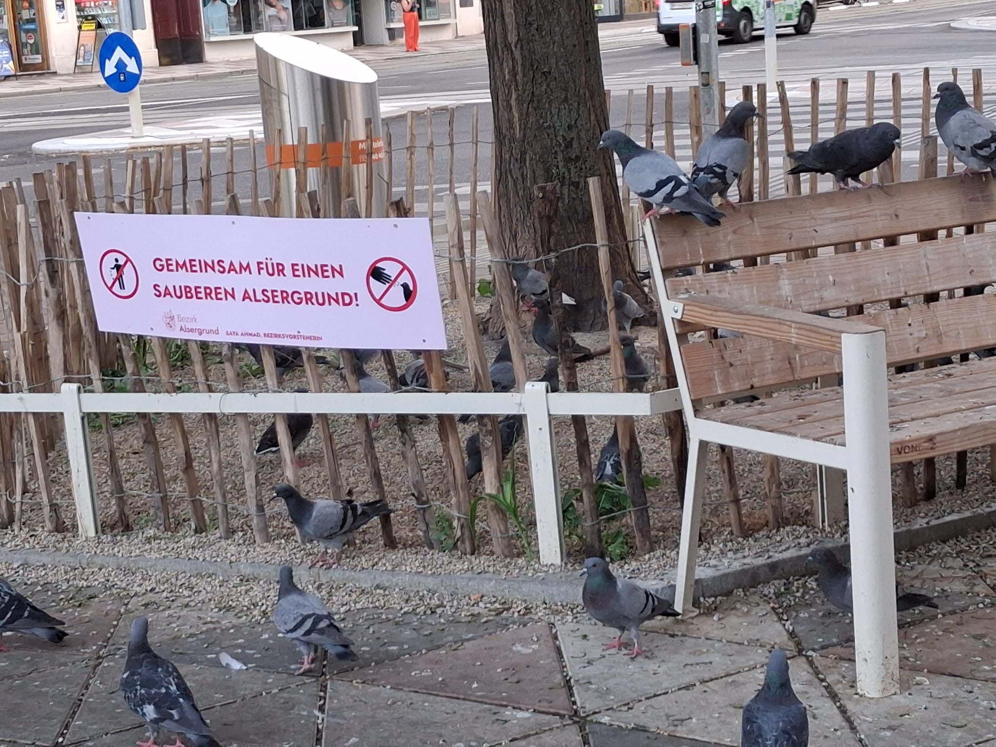 Sieht so ein sauberer Alsergrund aus?