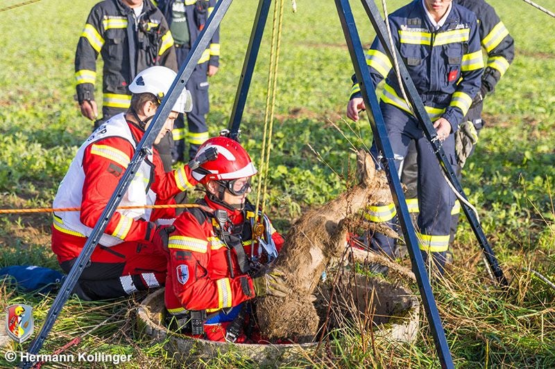Erfolgreiche Tierrettung