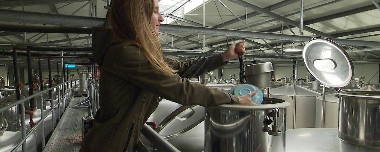 Katharina Baumgartner zaubert fantastische Weine.