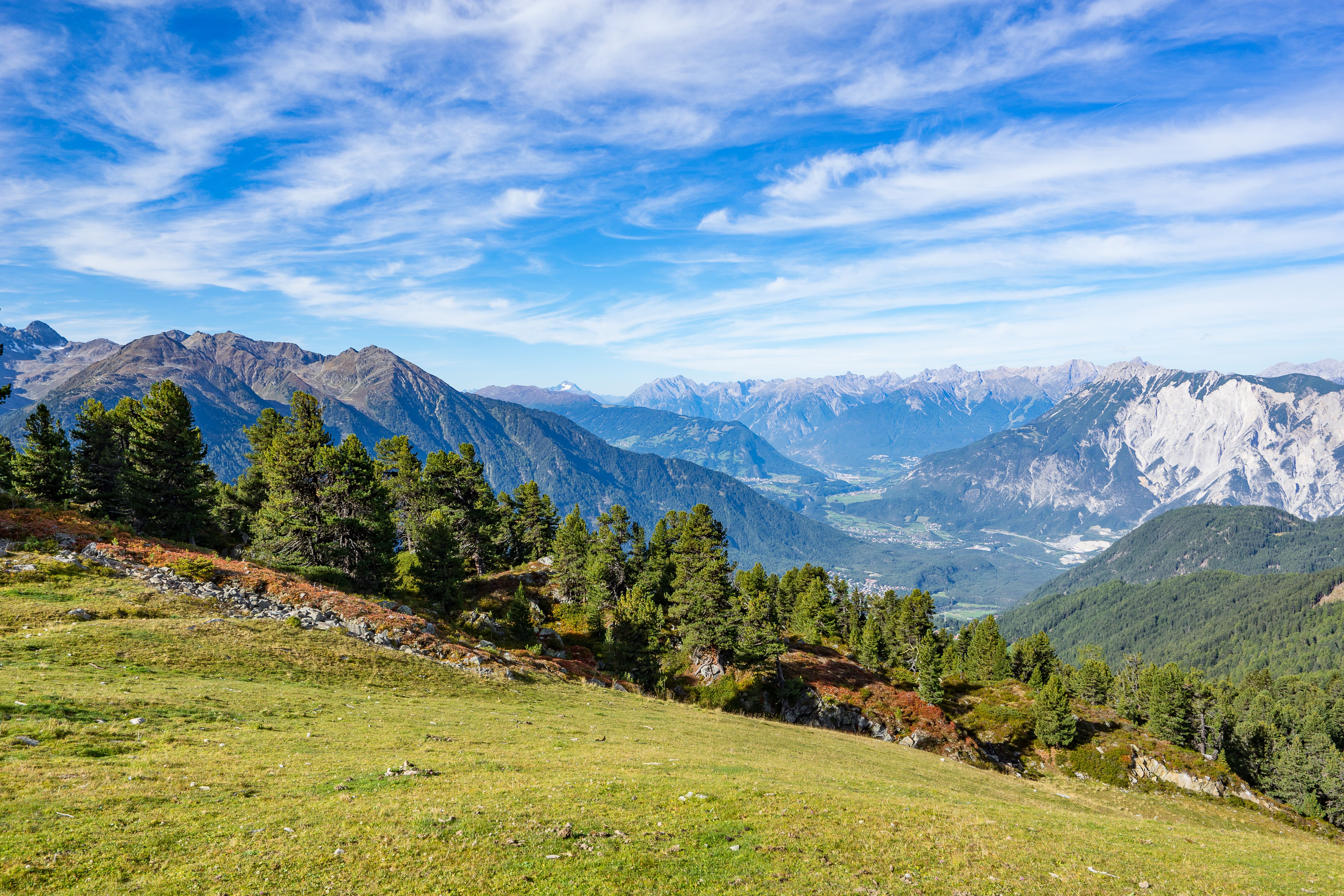 Grüne Wiesen, Nadelbäume und imposante Alpengipfel im Kaunertal, Tirol, unter blauem Himmel.