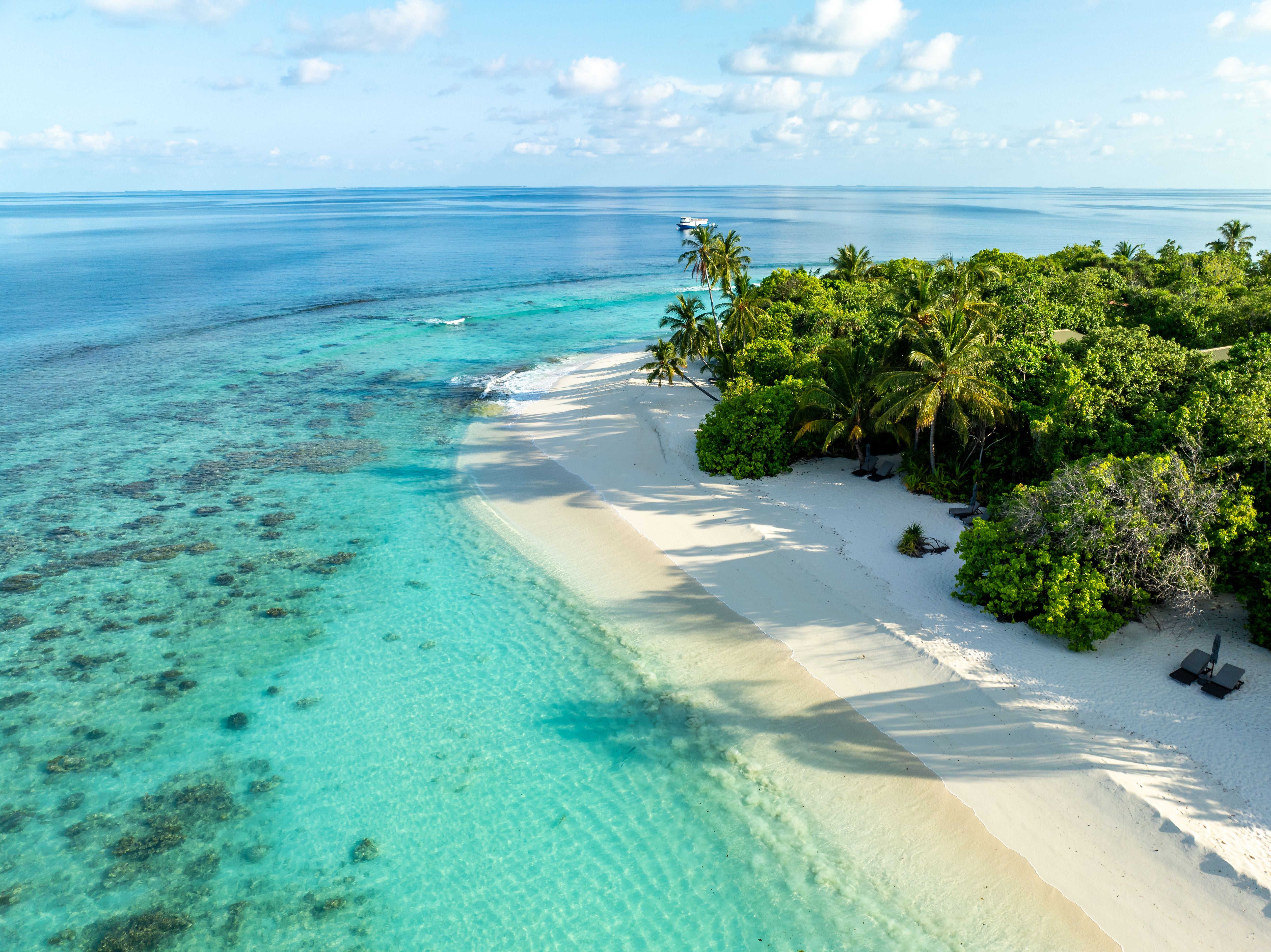Luftaufnahme von tropischem Strand mit türkisblauem Wasser und Palmen auf den Malediven.