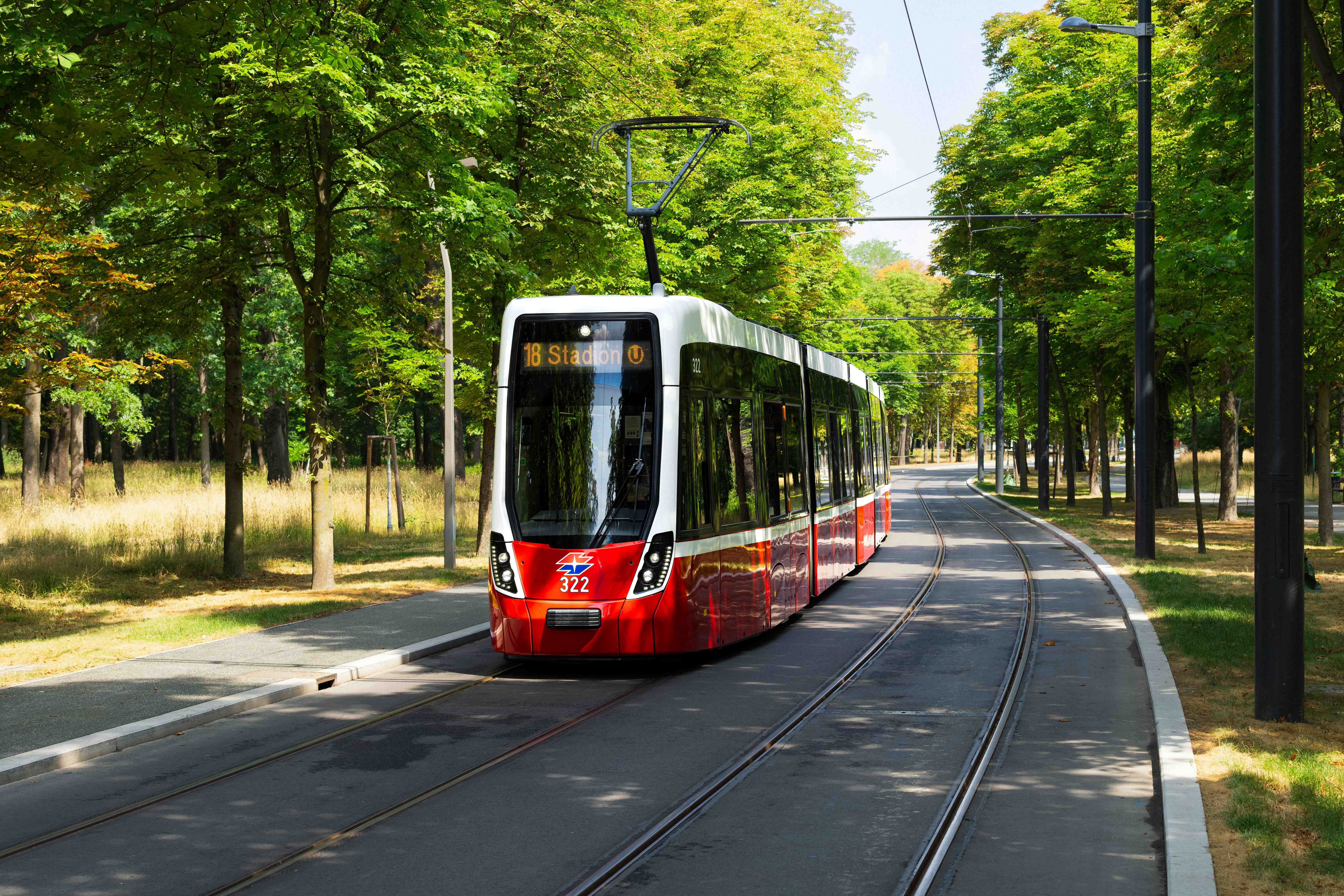 Eine moderne Straßenbahn fährt auf der Linie 18 durch eine grüne Allee Richtung Stadion.