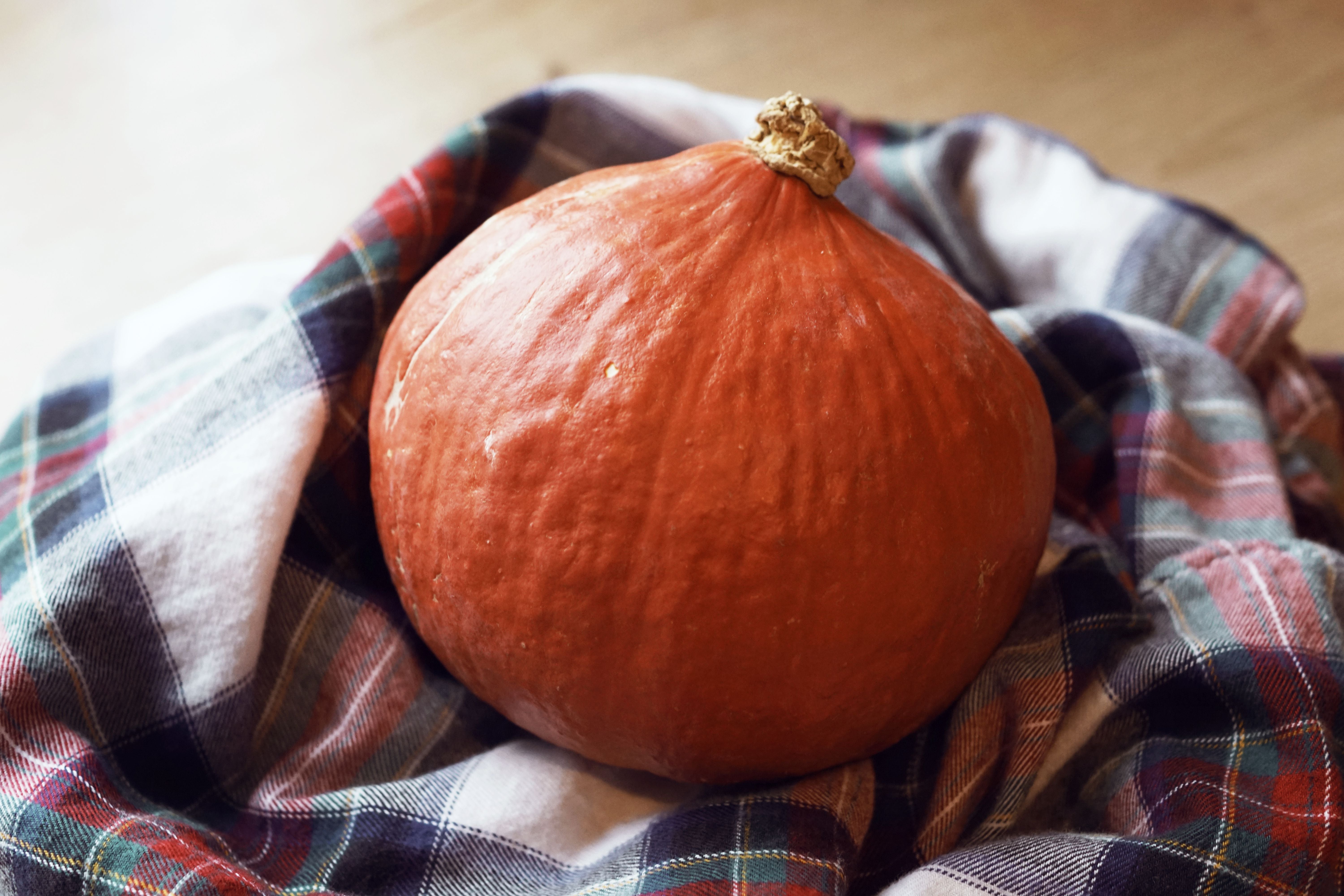 Ein orangefarbener Hokkaido-Kürbis liegt auf einer karierten Decke.