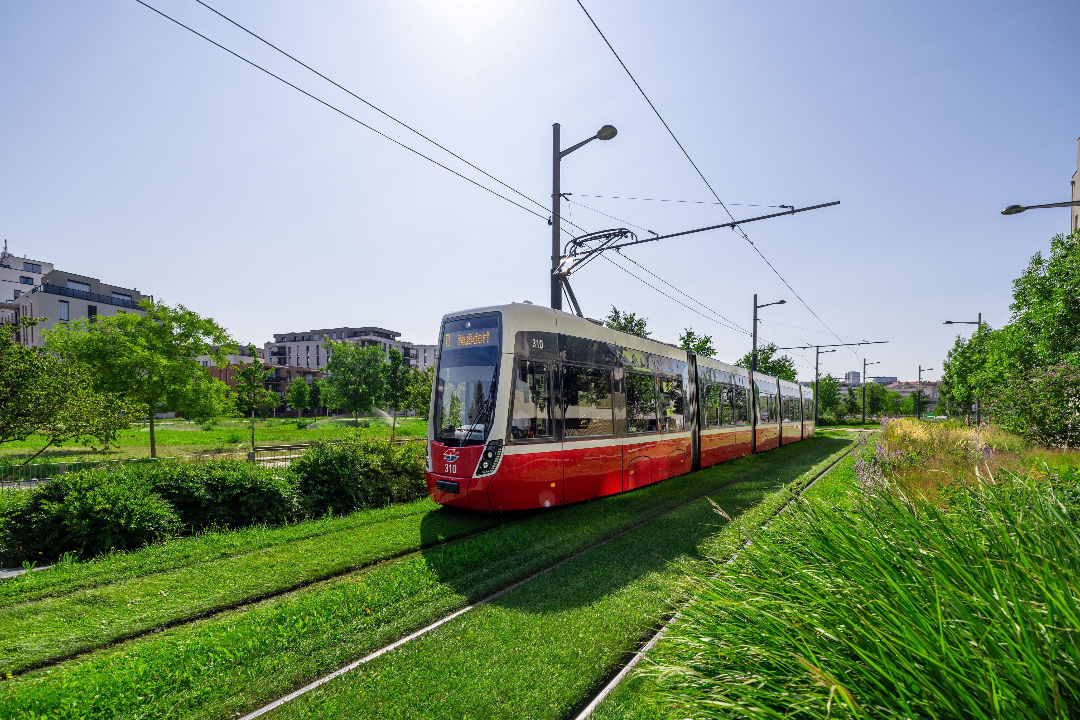 Moderne Straßenbahn fährt über ein begrüntes Gleis durch ein Wohngebiet bei sonnigem Wetter.