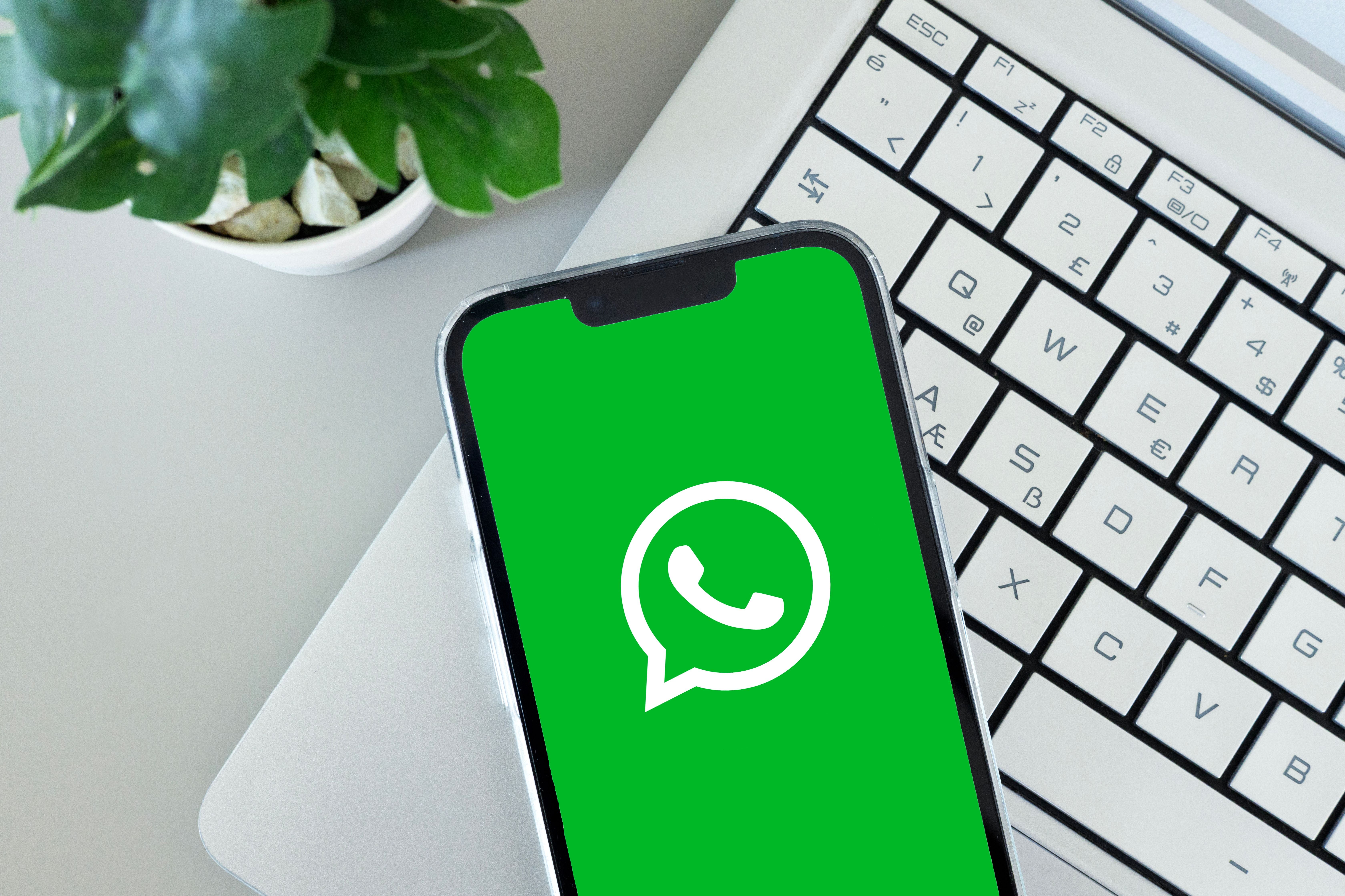 Smartphone mit WhatsApp-Logo liegt auf einem Laptop, daneben eine grüne Zimmerpflanze.