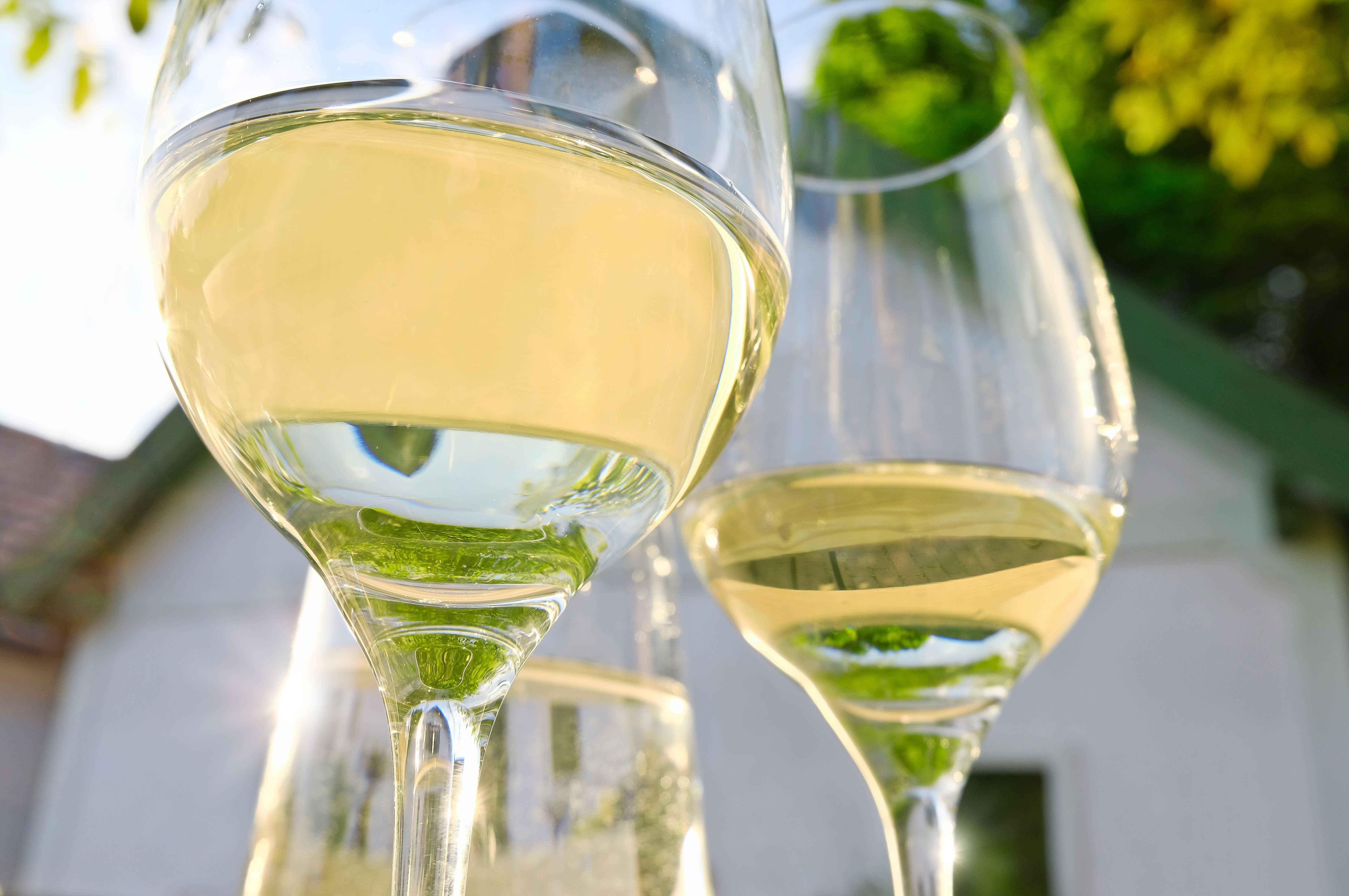 Zwei Gläser Weißwein im Sonnenlicht vor einem alten Presshaus in idyllischer Umgebung.