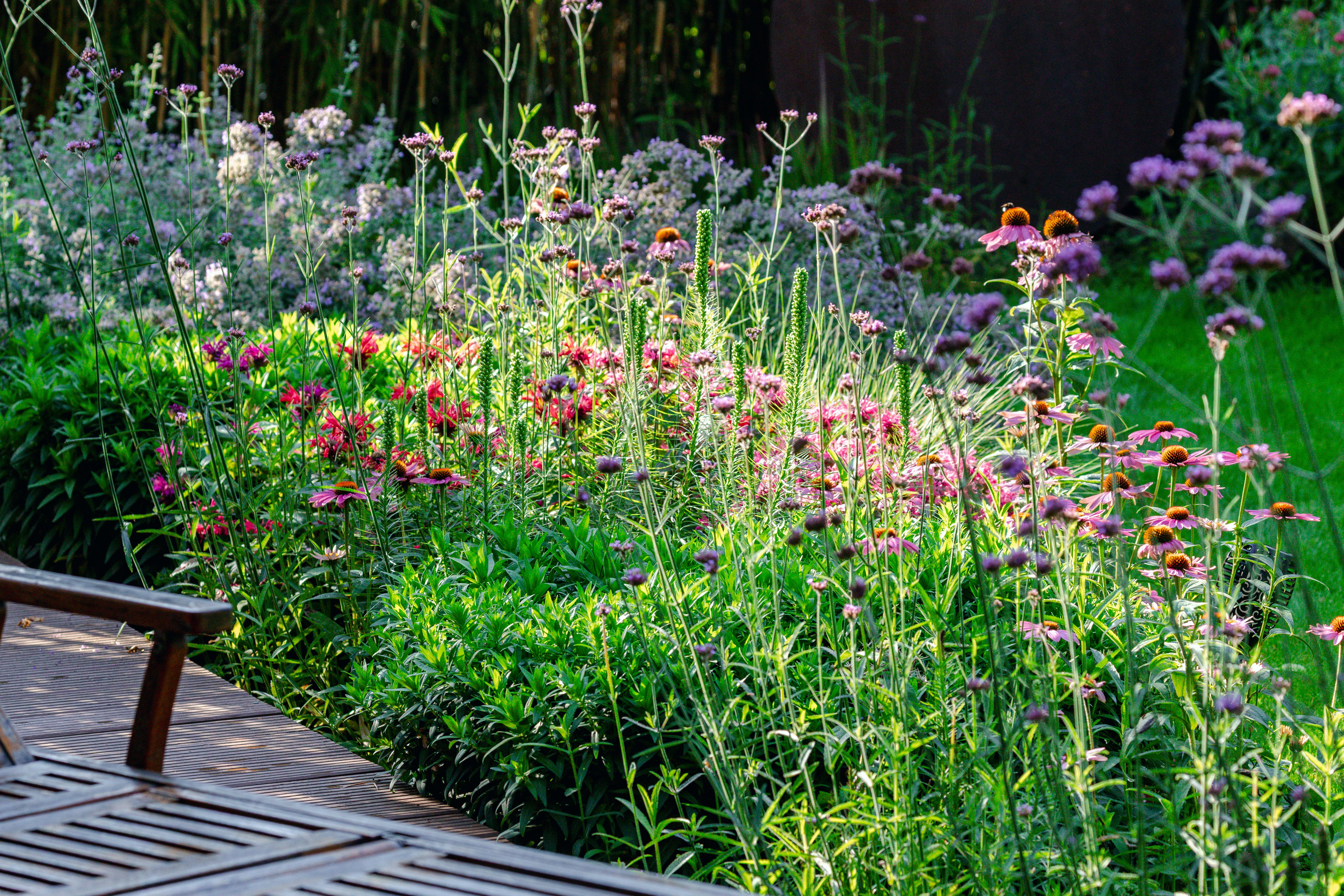 Bunte Blumen blühen in einem sonnigen Garten neben Holzbänken und grünen Sträuchern.