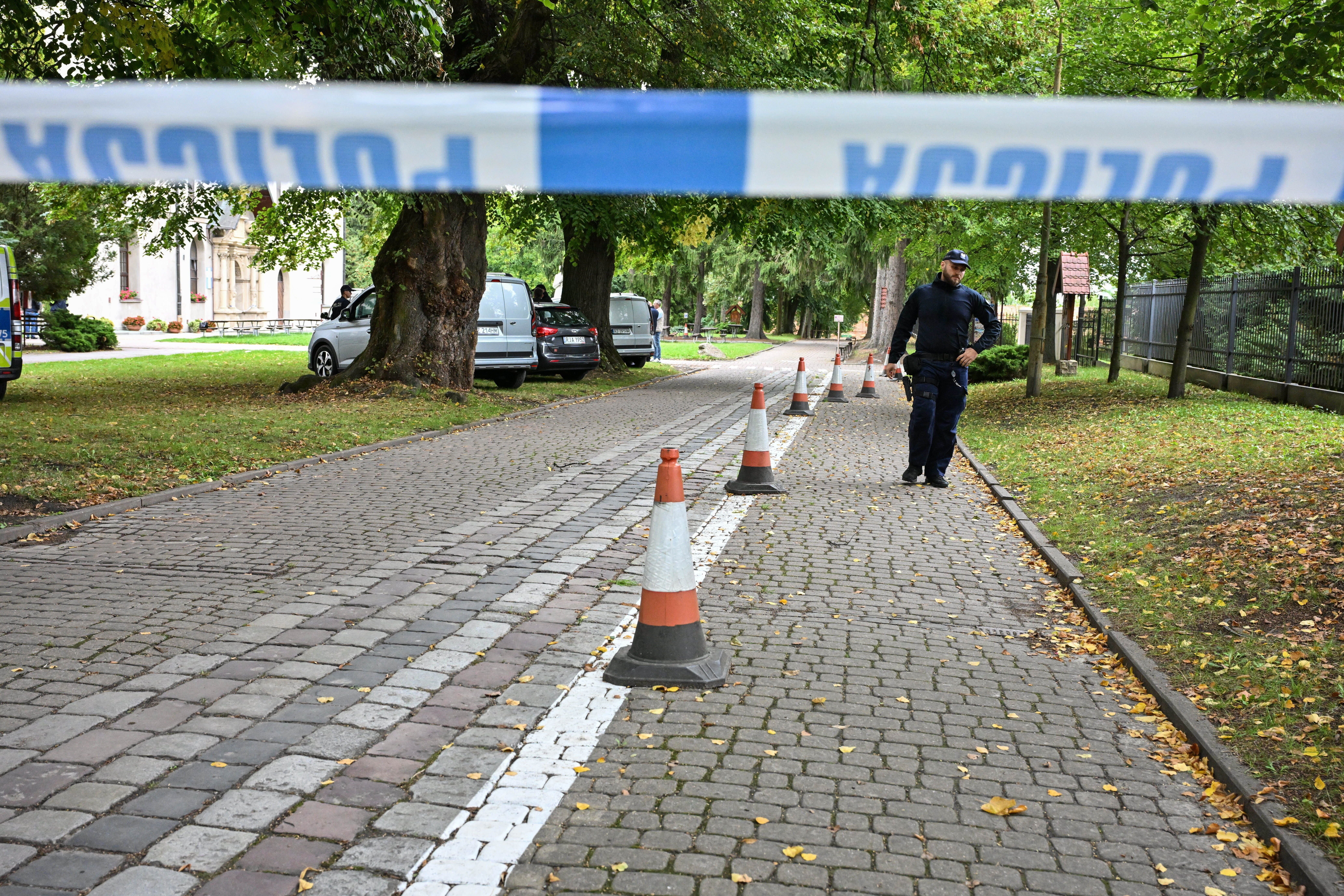 Absperrband und Kegel sichern eine Straße, ein Polizist steht am Tatort im Grünen.