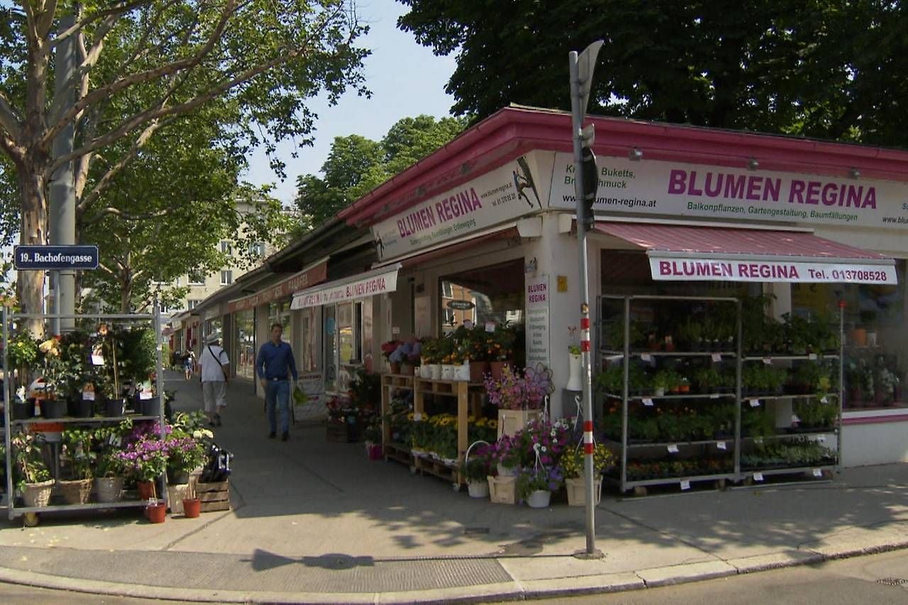 Blumenladen "Blumen Regina" am Nussdorfer Markt mit vielen Pflanzen und Blumen im Außenbereich.