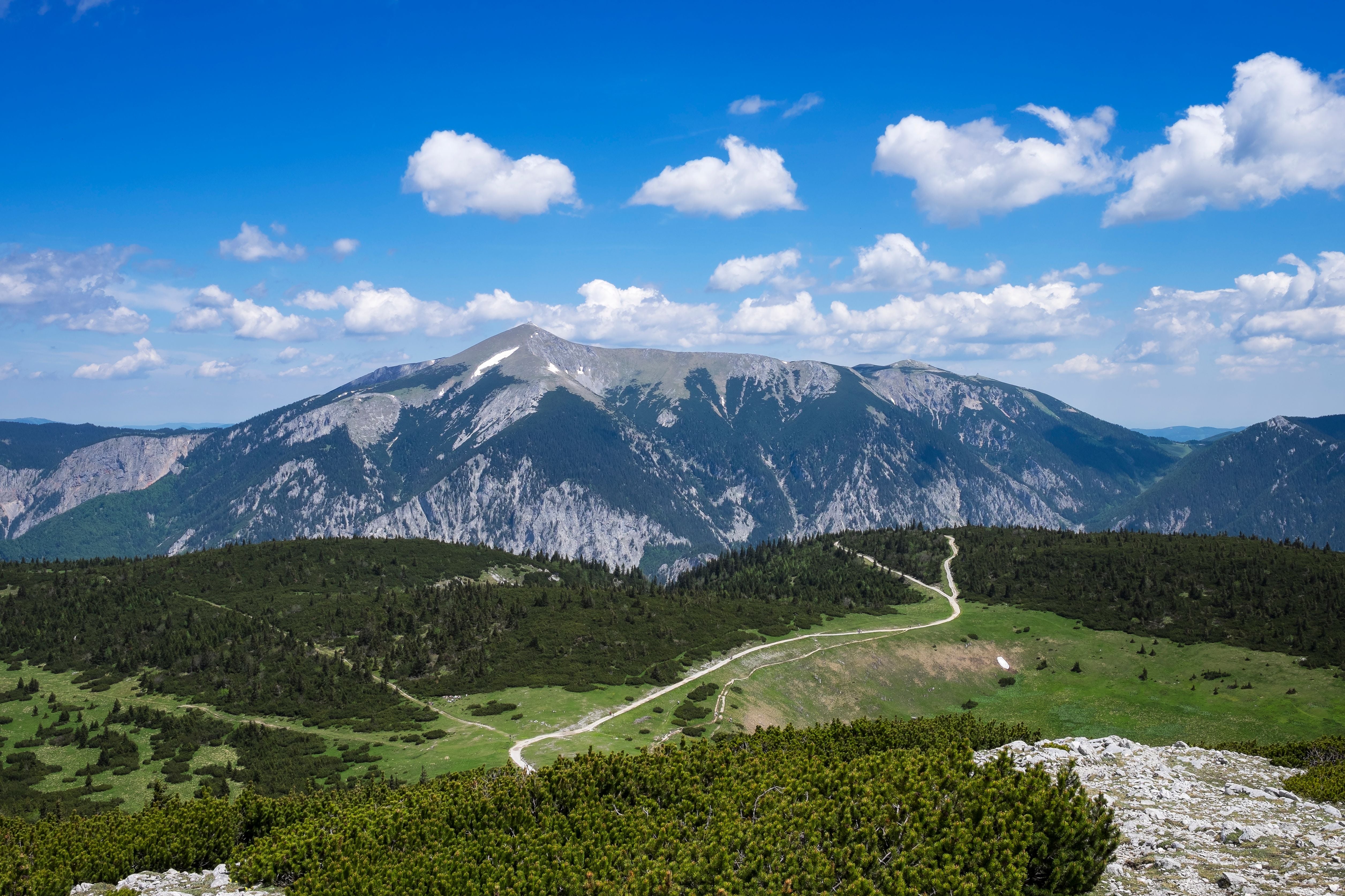 Blick auf den Schneeberg mit grünem Tal, Wald und Gebirgsweg unter blauem Himmel.