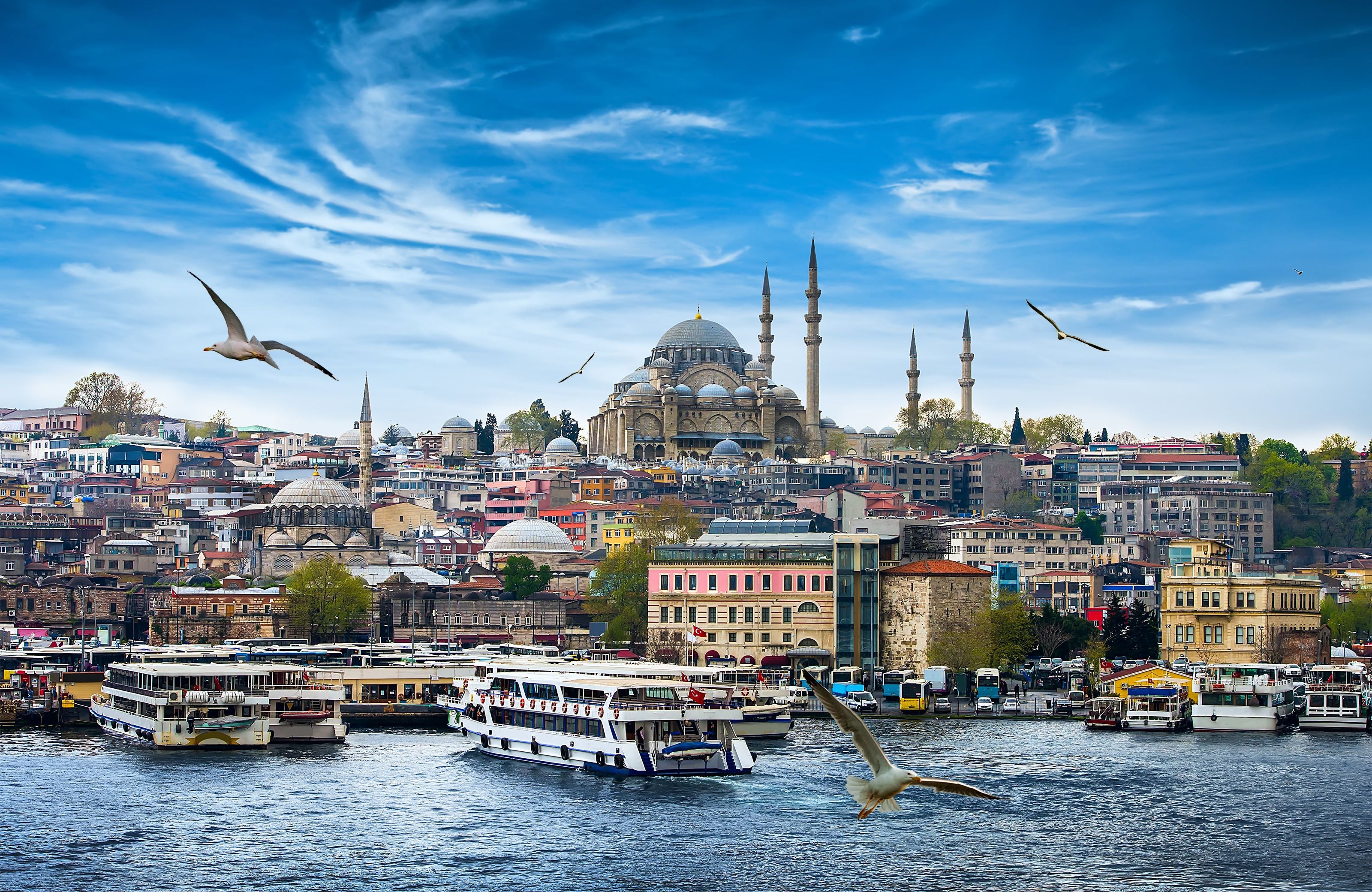 Blick auf Istanbul mit Moschee, Fähren auf dem Bosporus und fliegenden Möwen im Vordergrund.