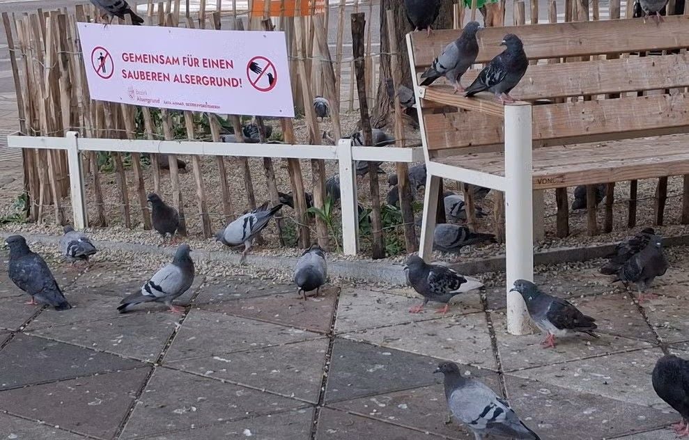 Gemeinsam für einen sauberen Alsergrund.