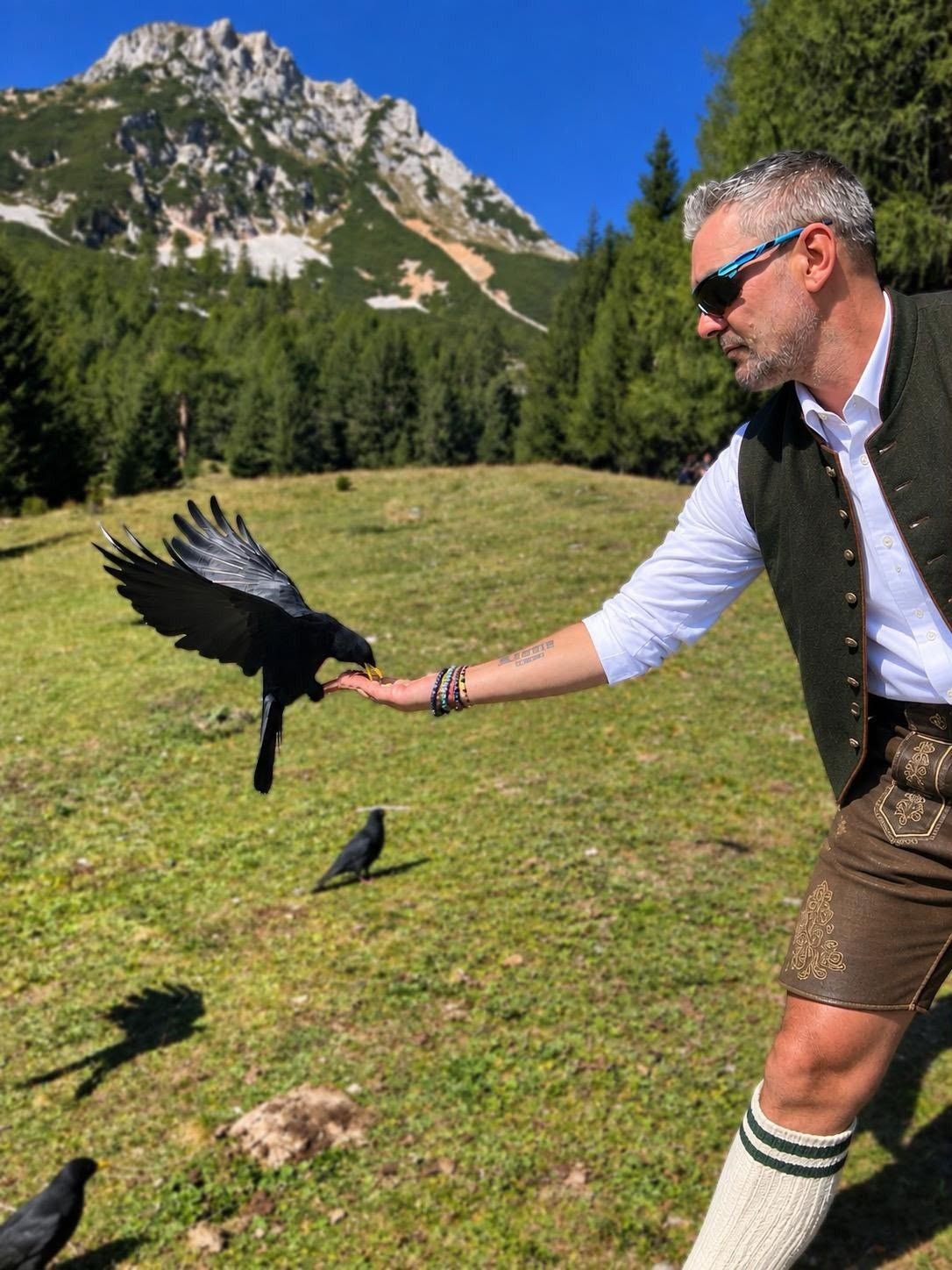 Senad fressen die Vögel aus der Hand