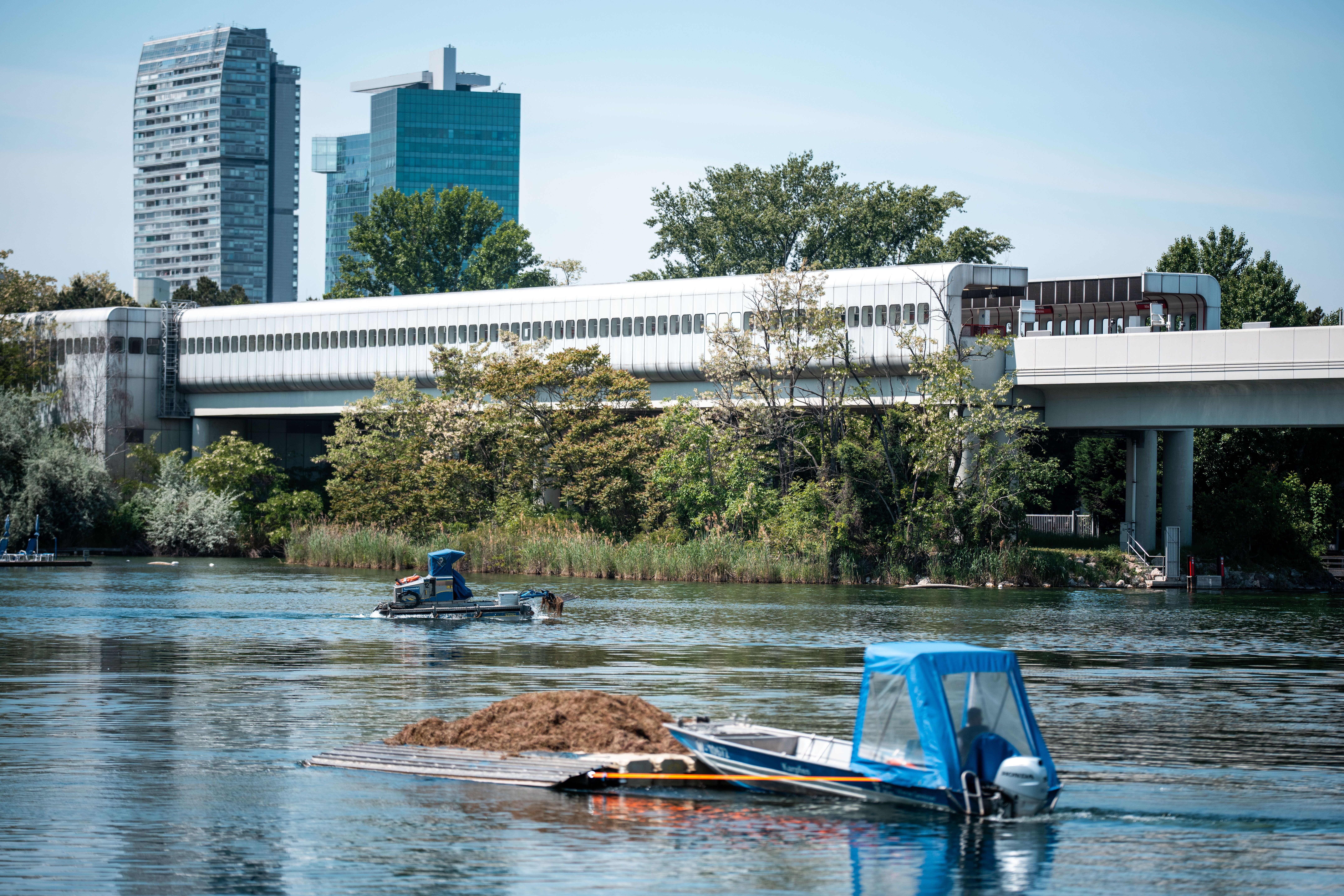 Mähboote im Einsatz.